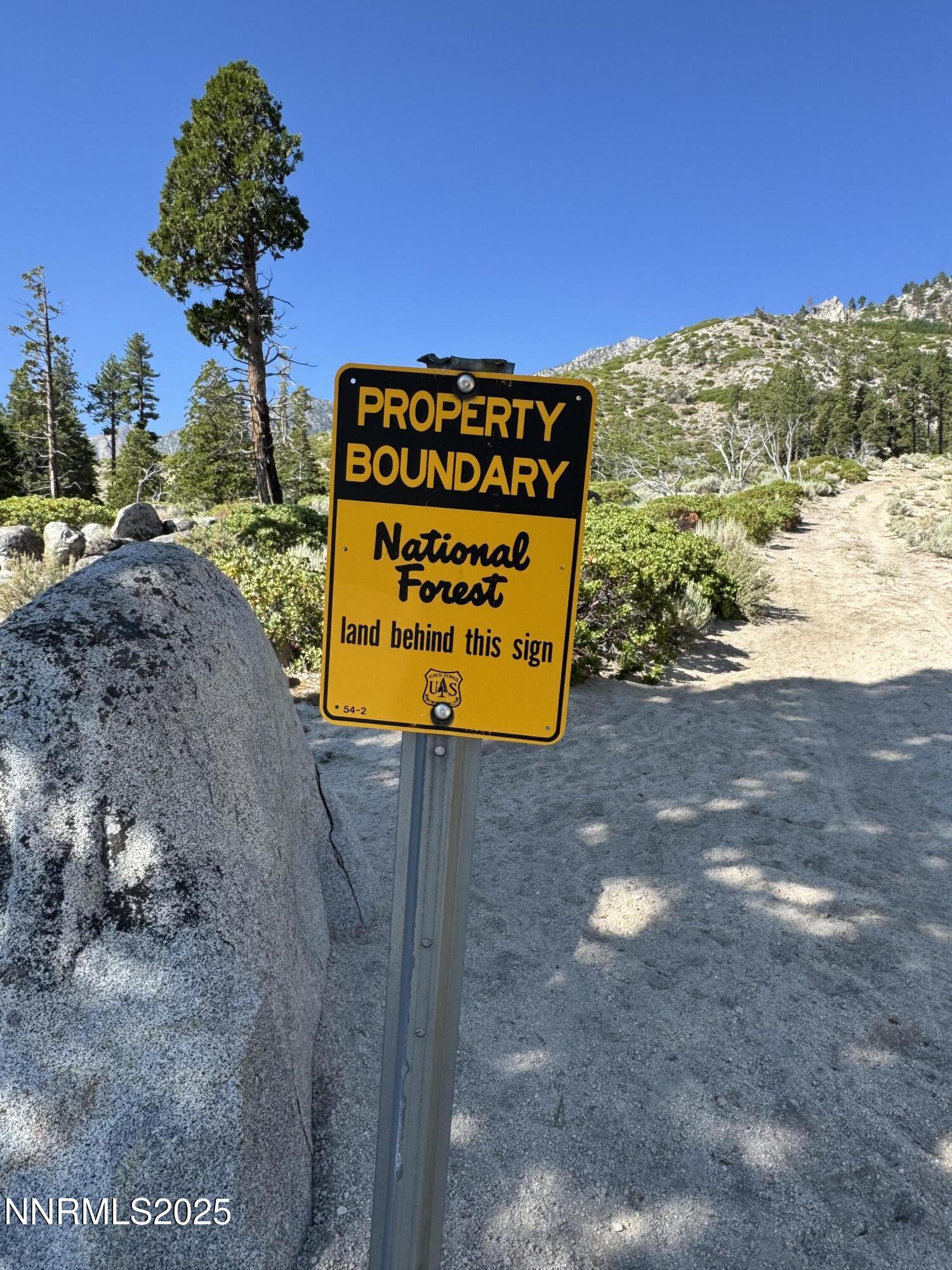 (Upload-from-mobile-1751507705)IMG_3318