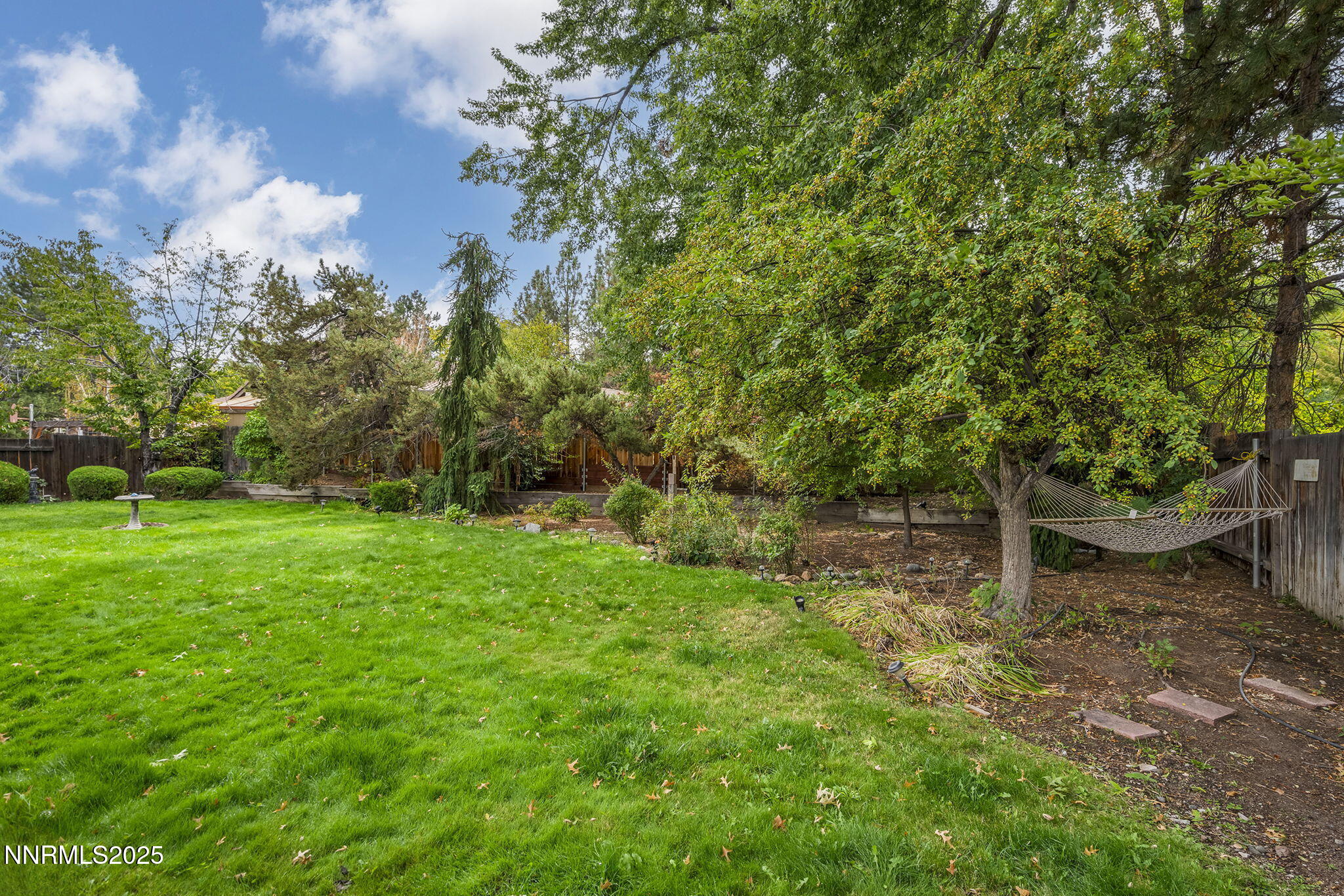 26-web-or-mls-_DSC0176