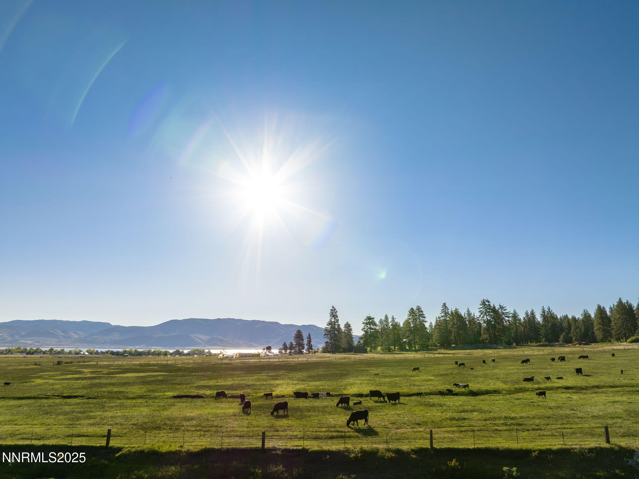 53-web-or-mls-6695 Franktown-35