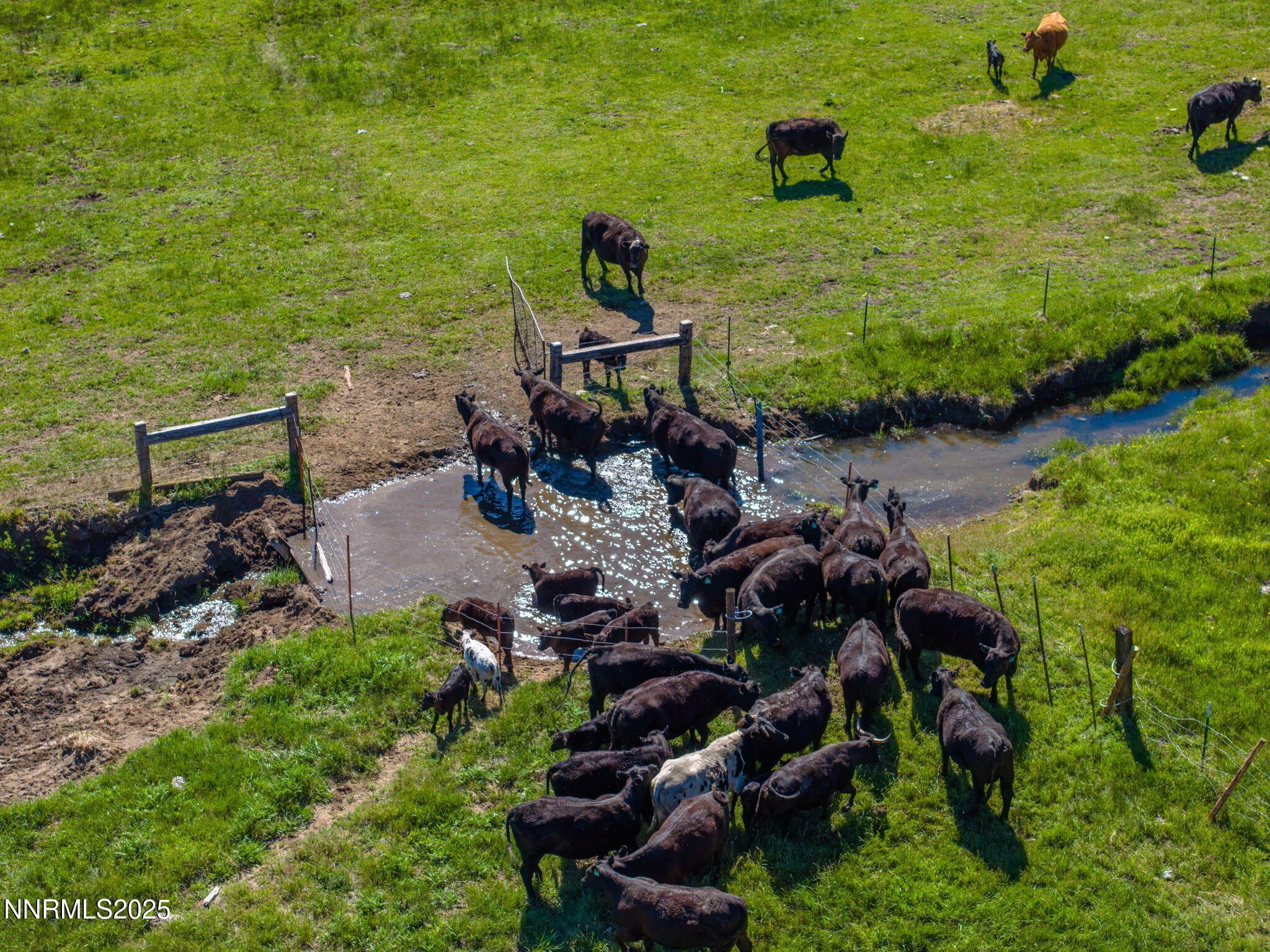 72-web-or-mls-6695 Franktown-54