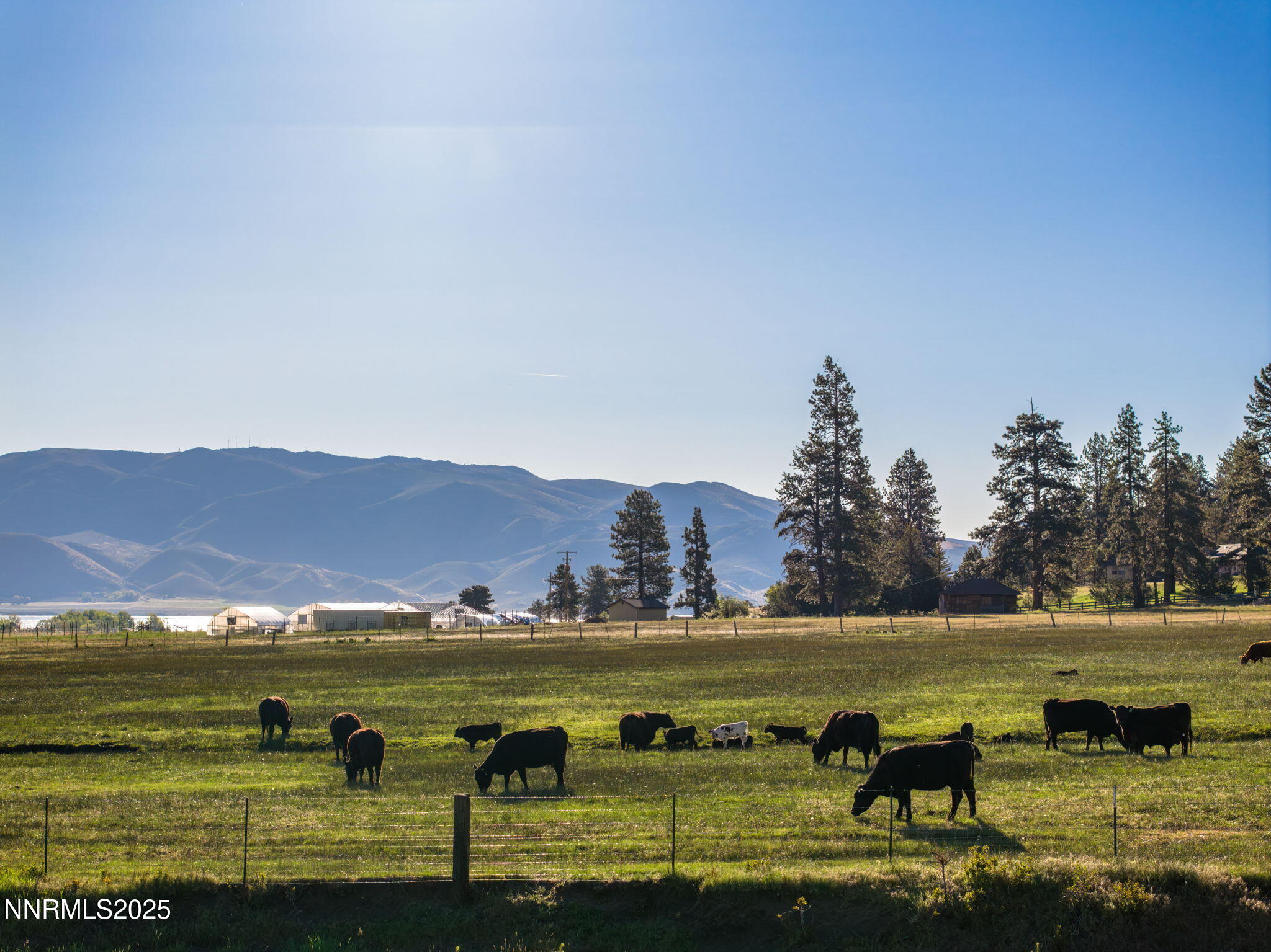 54-web-or-mls-6695 Franktown-36