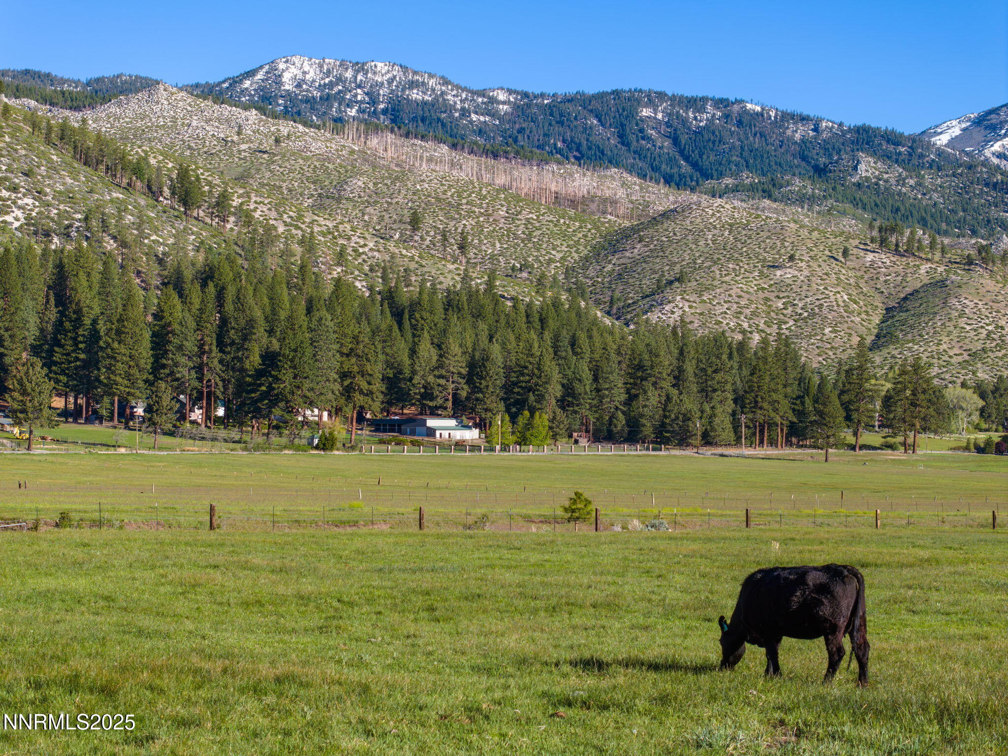 56-web-or-mls-6695 Franktown-38