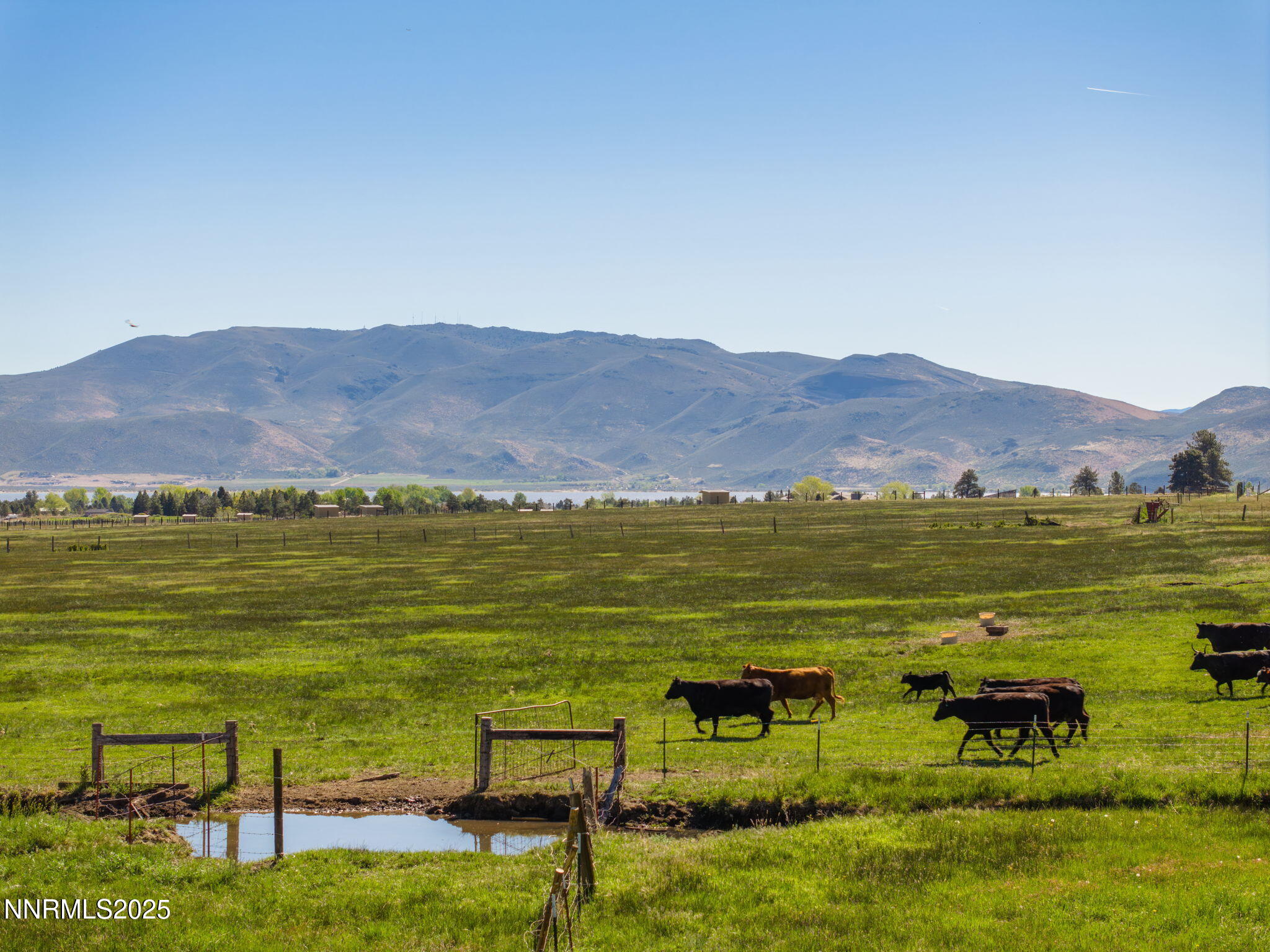 61-web-or-mls-6695 Franktown-43