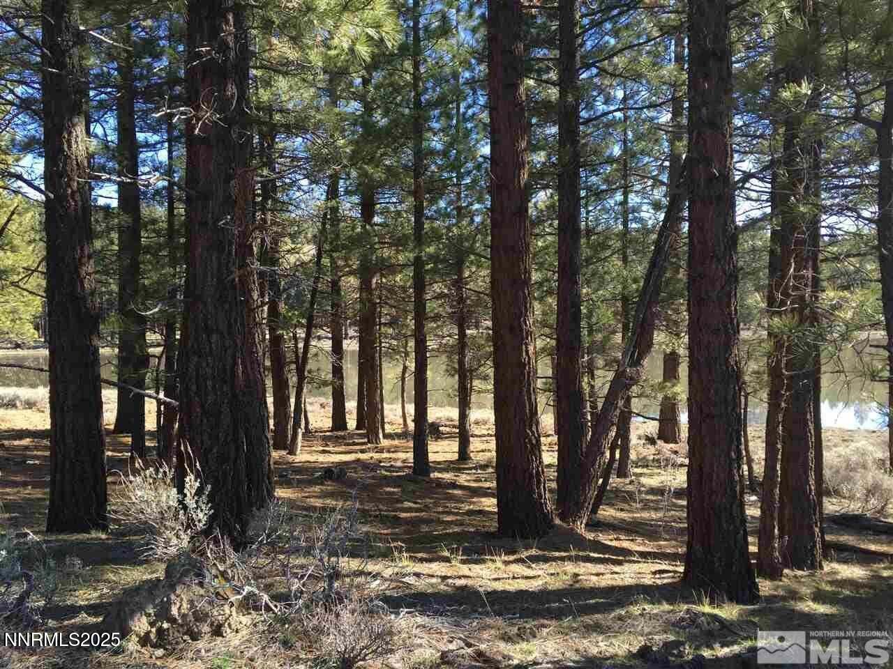 20250409164935656477000000-o