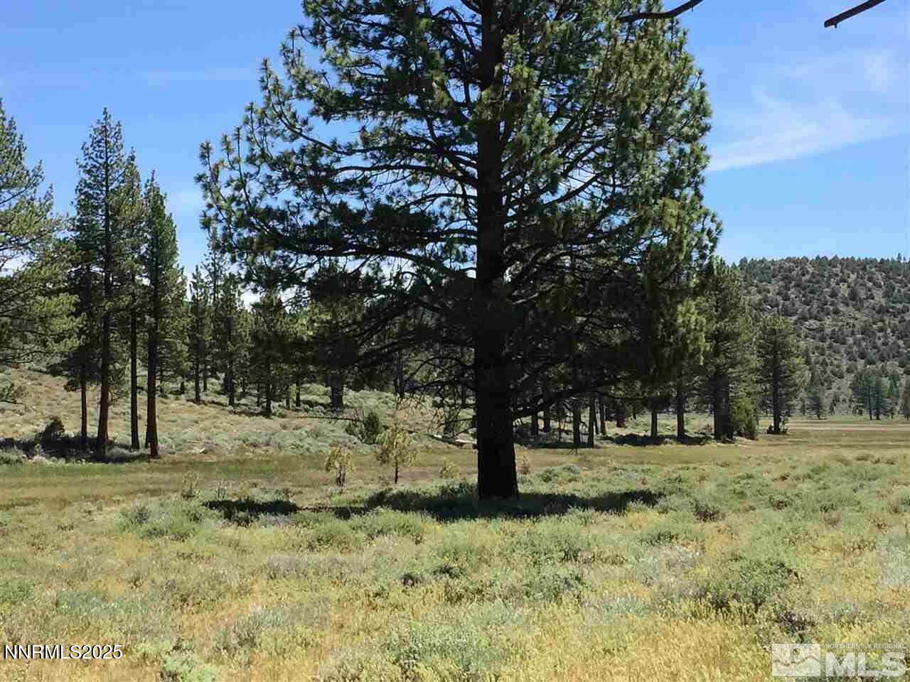 20250409164935656446000000-o