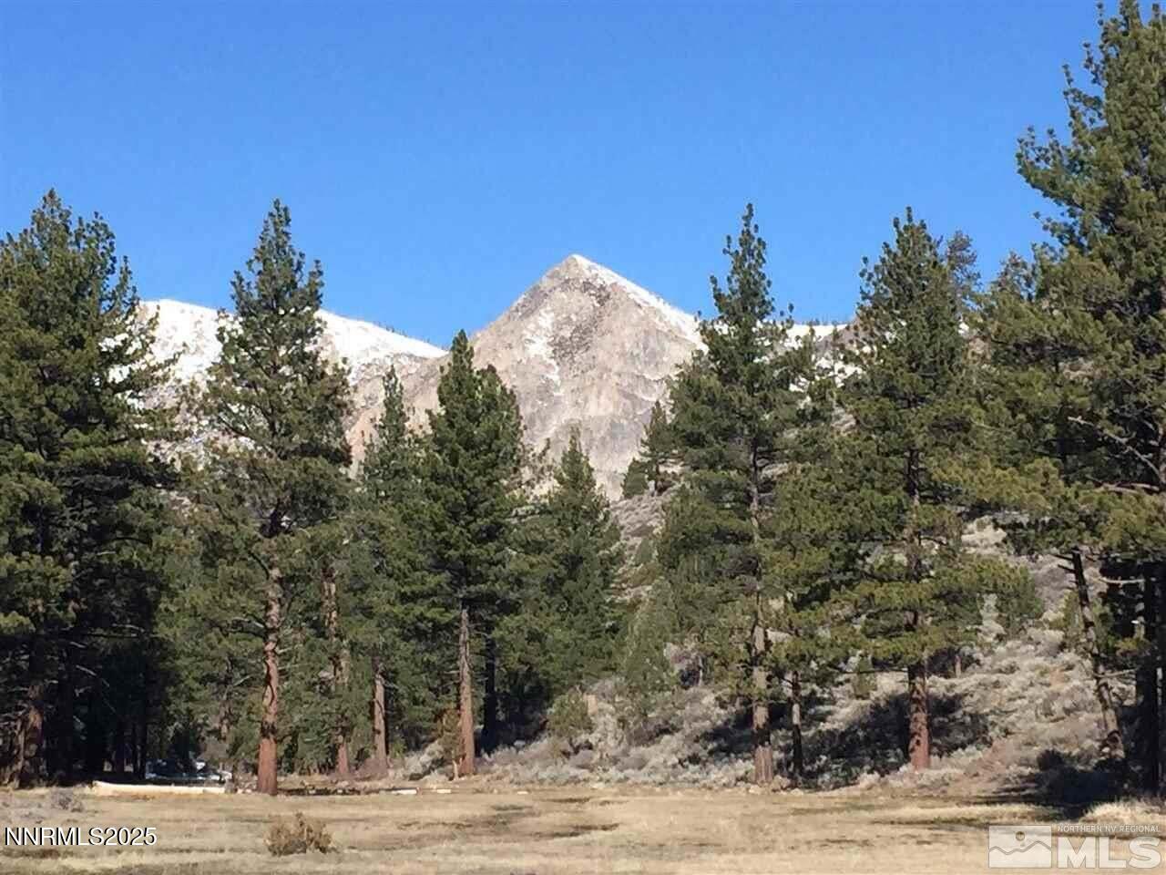 20250409164935656491000000-o