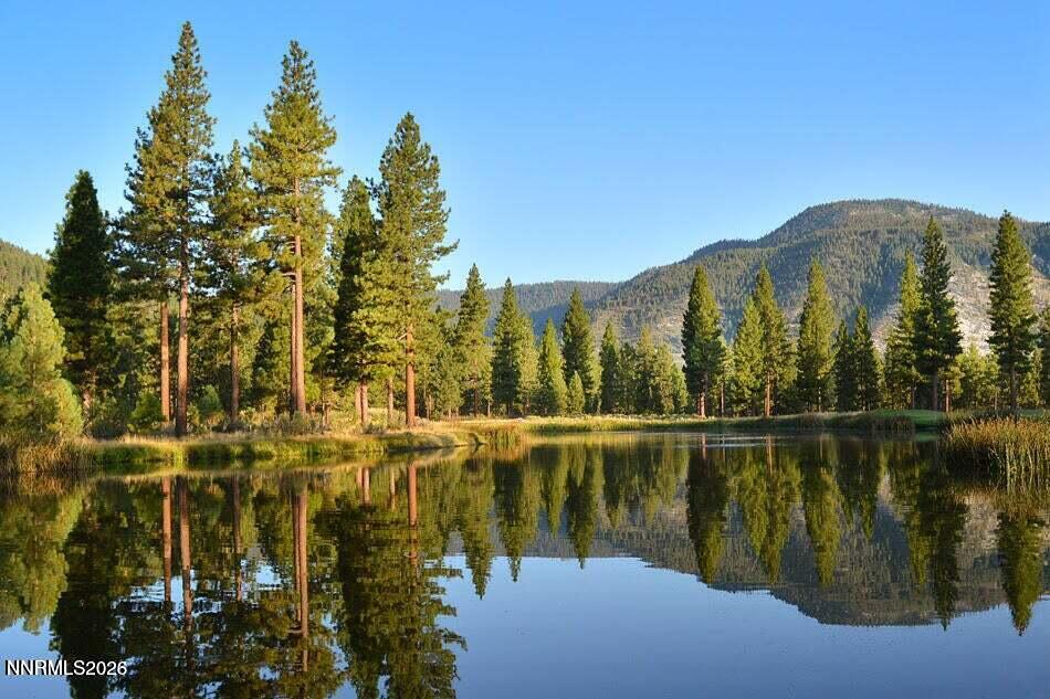 Clear Crk pond