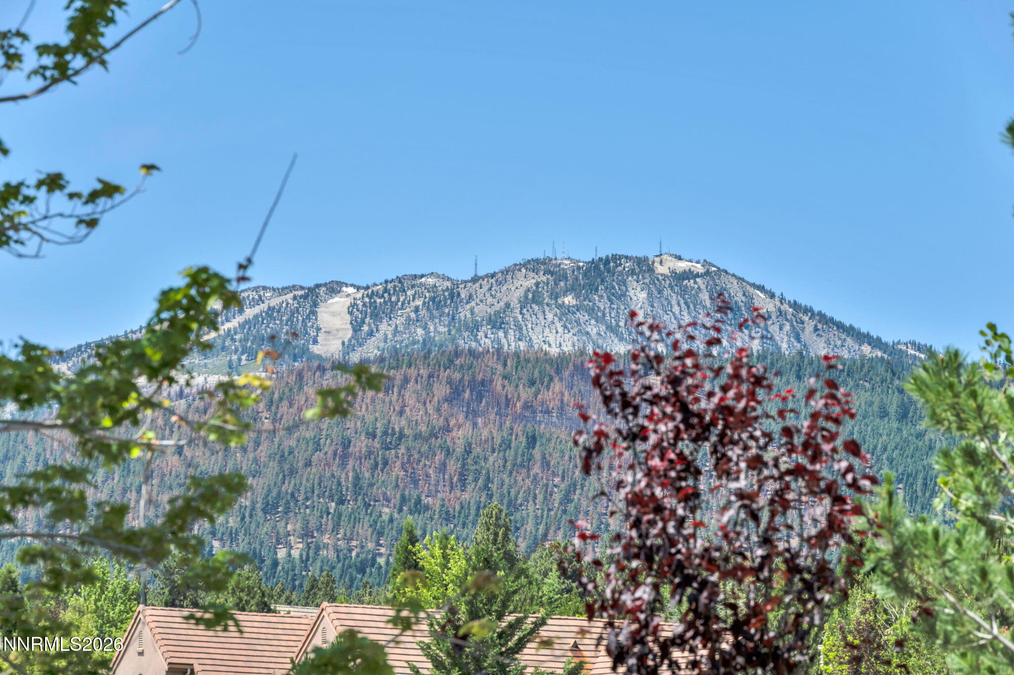 24-web-or-mls-5808-tannerwood-dr