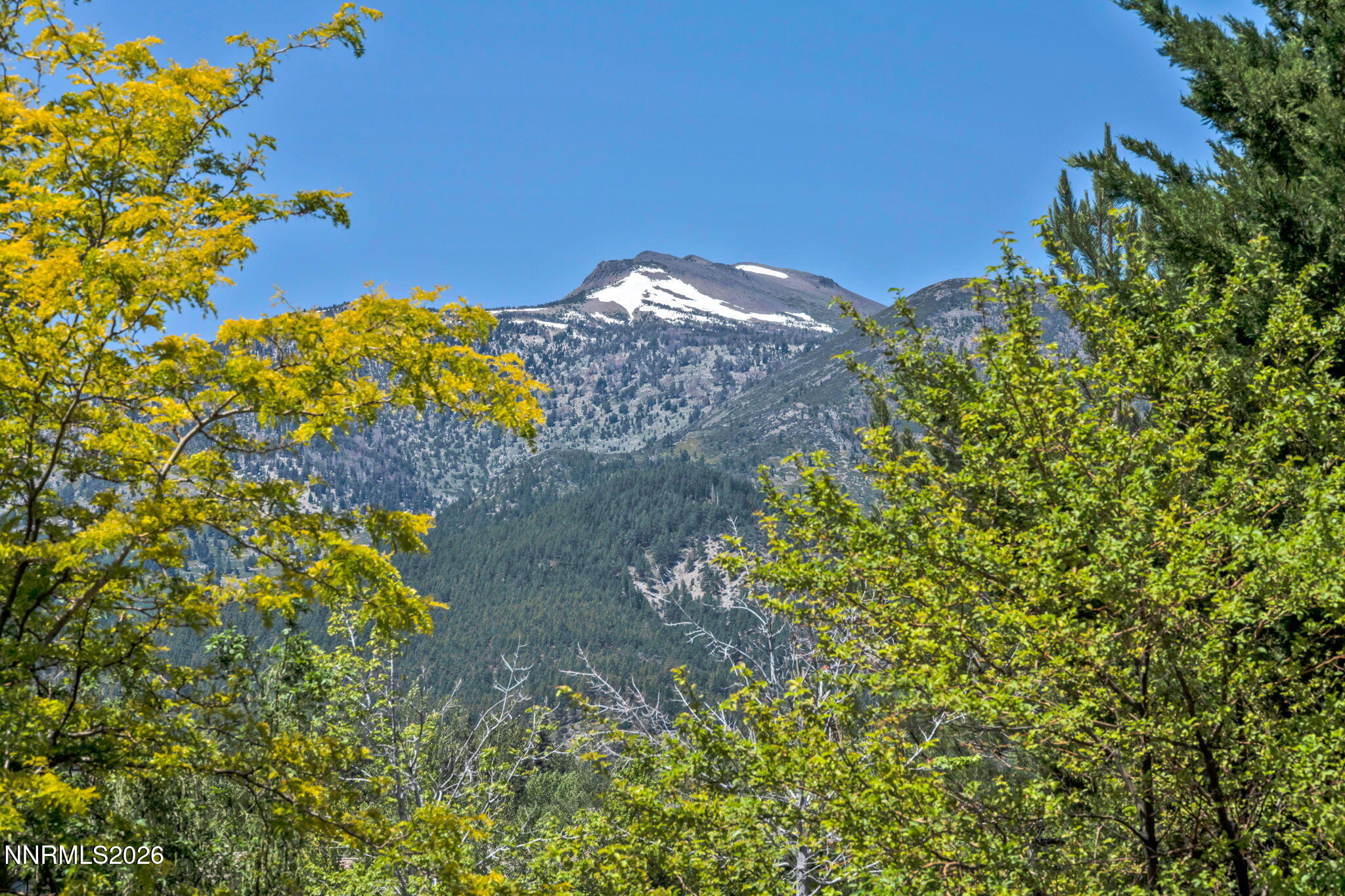 21-web-or-mls-5808-tannerwood-dr