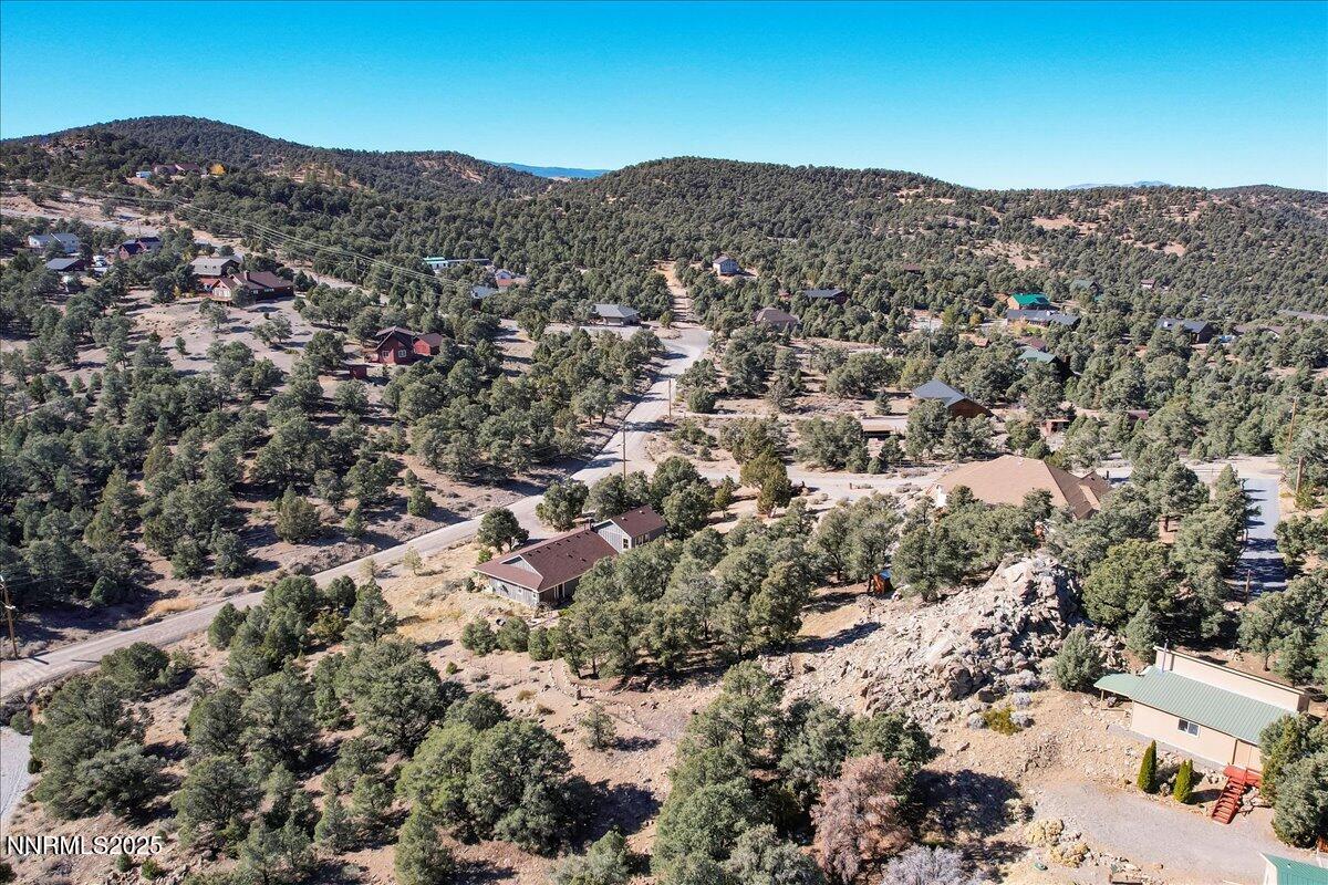 49-21410 Sazarac Rd Reno NV 89521 (49 of