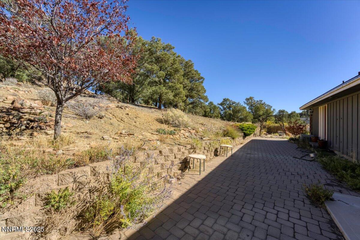 46-21410 Sazarac Rd Reno NV 89521 (46 of