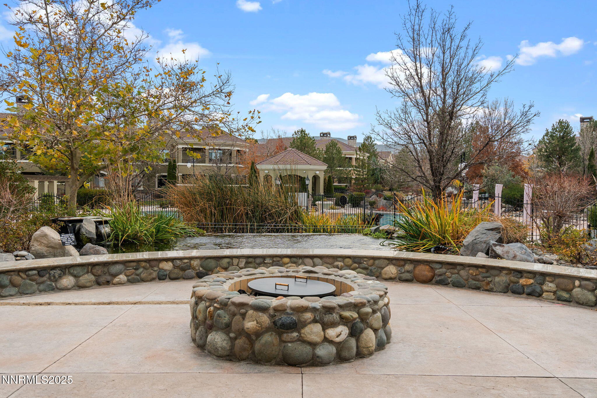 49-web-or-mls-DSC06389