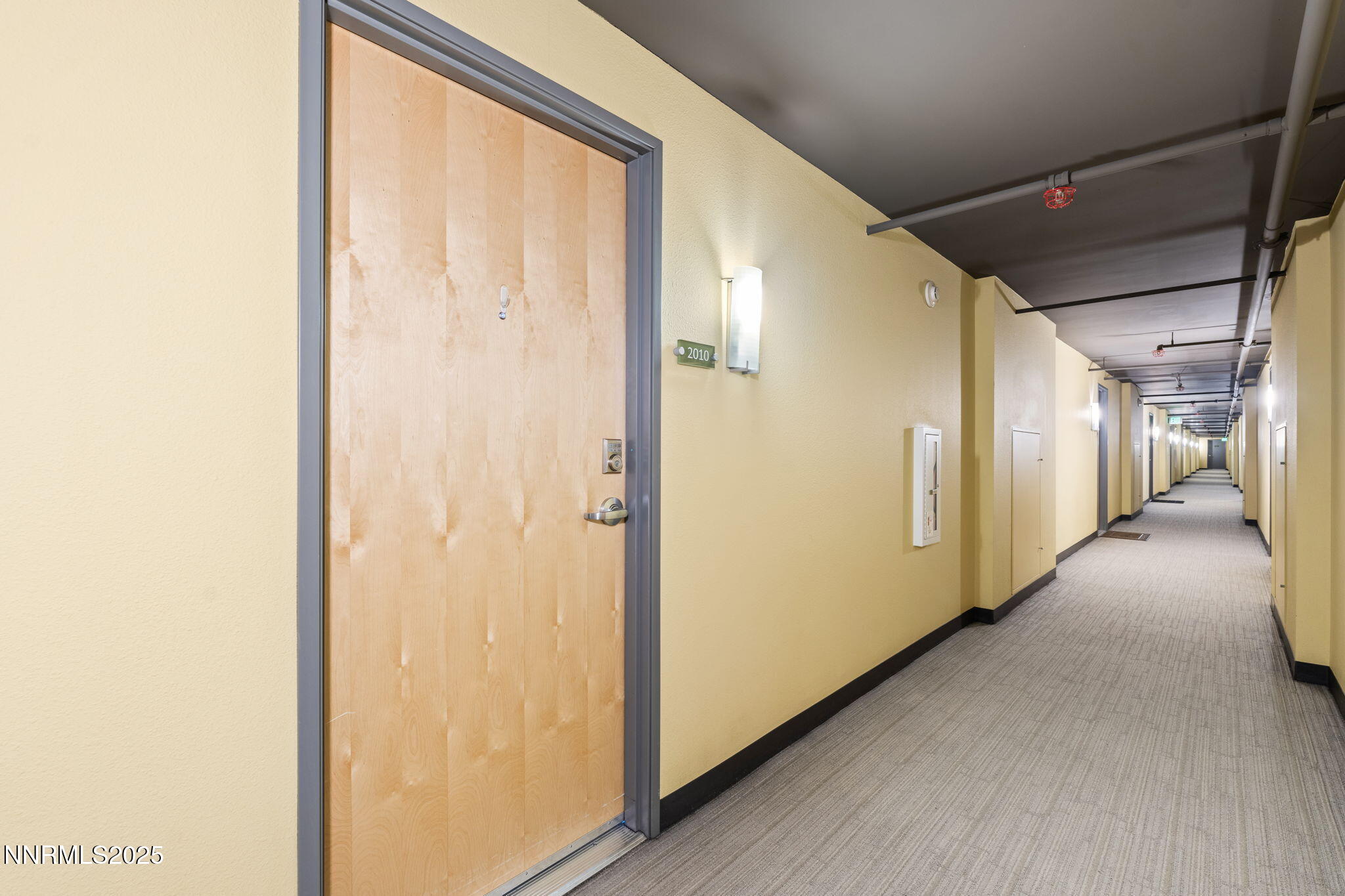 6-web-or-mls-DSC03786