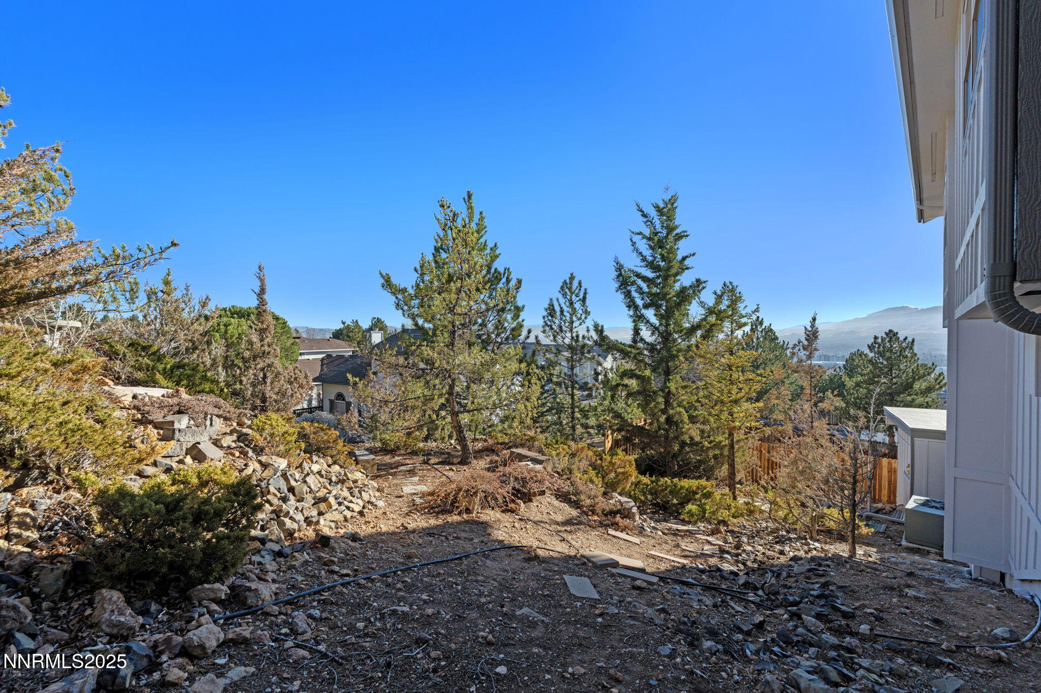 91-web-or-mls-DSC03619