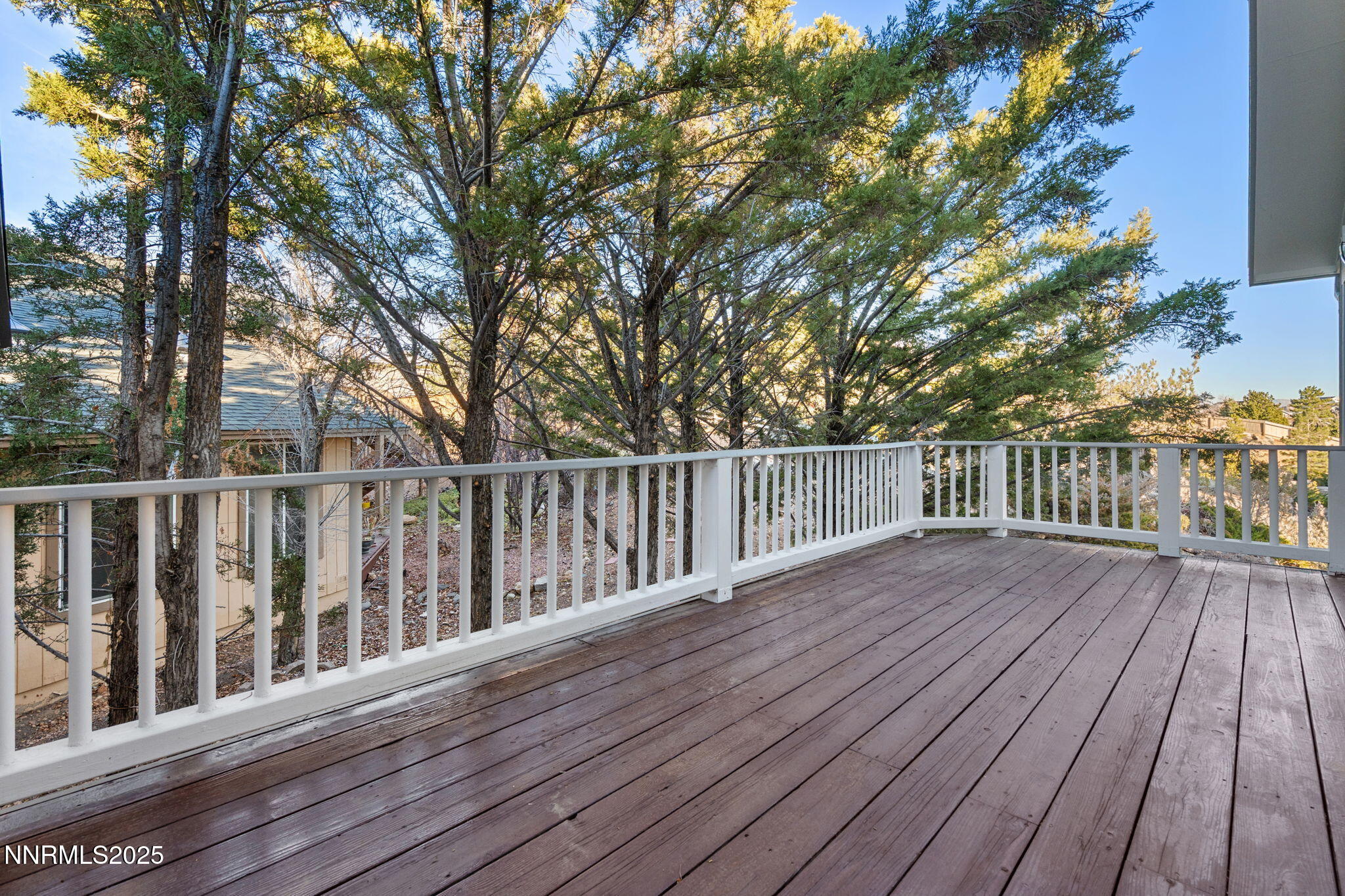 52-web-or-mls-DSC07971