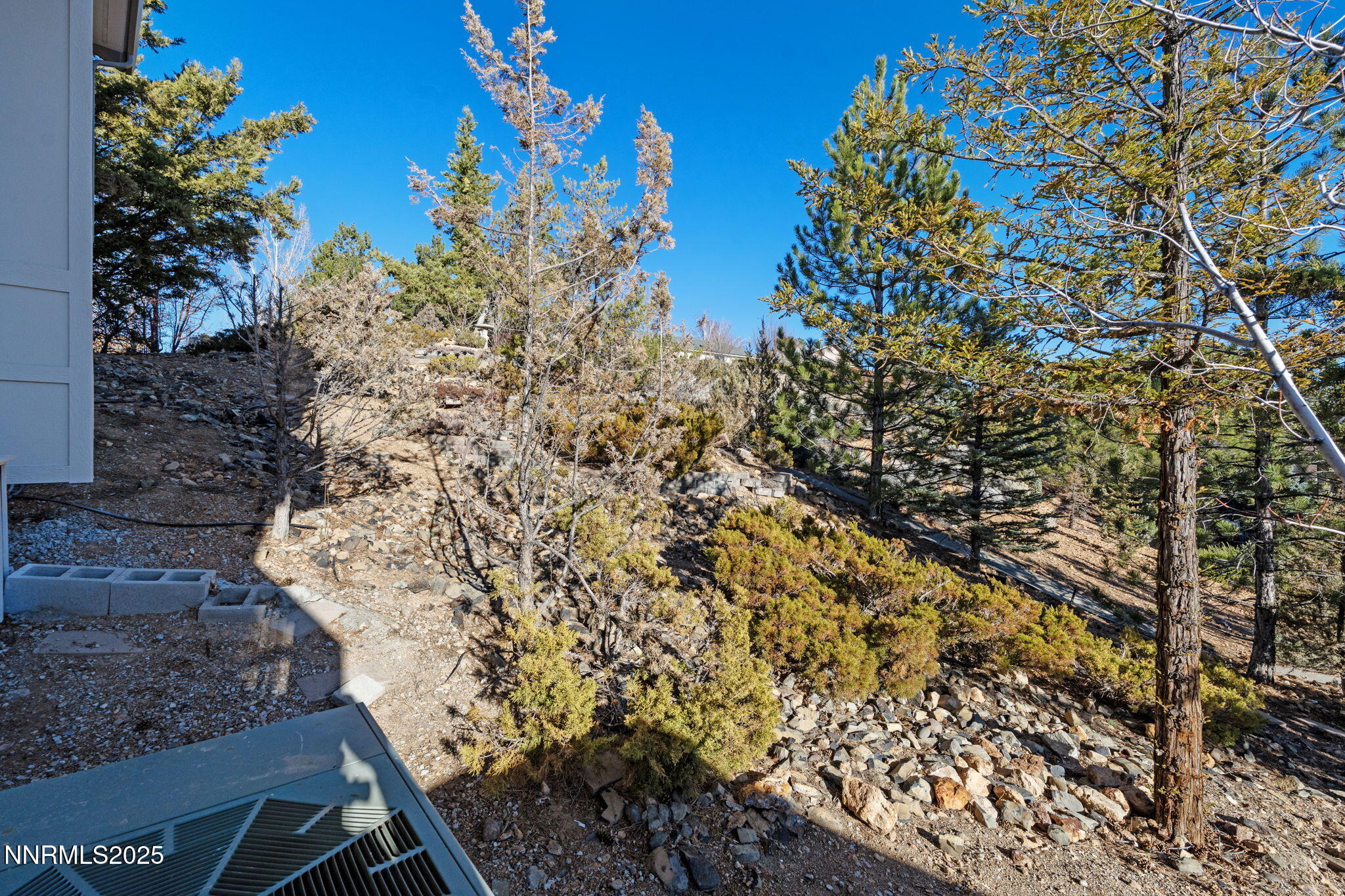 90-web-or-mls-DSC03629