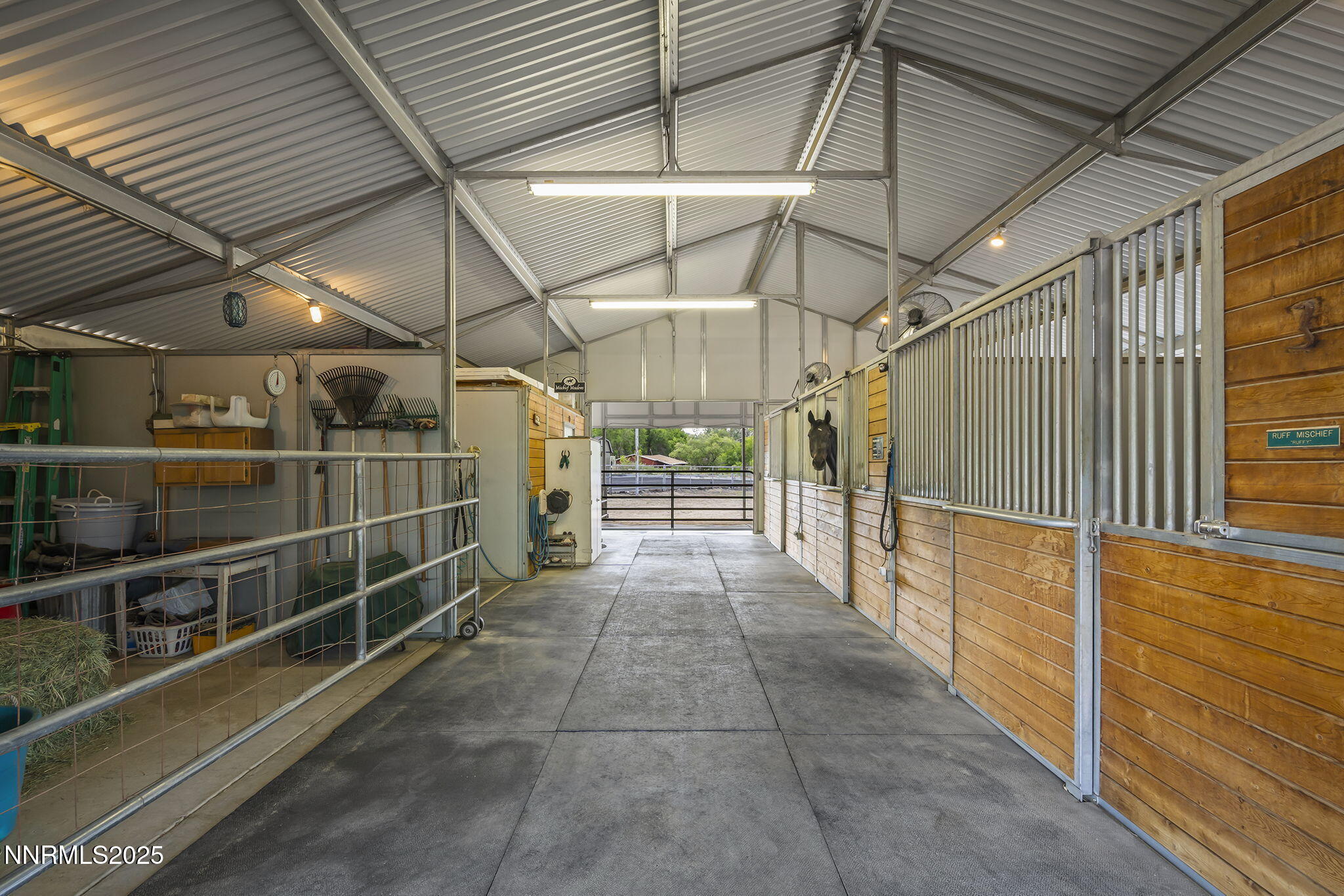 29-web-or-mls-_DSC8884