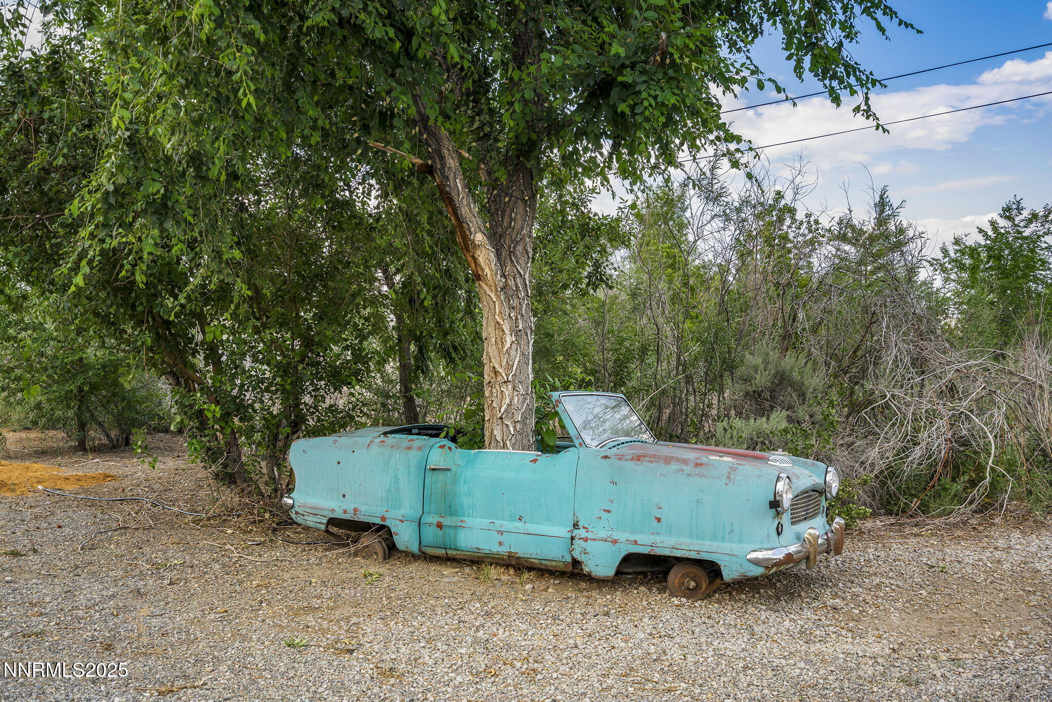 45-web-or-mls-_DSC8957