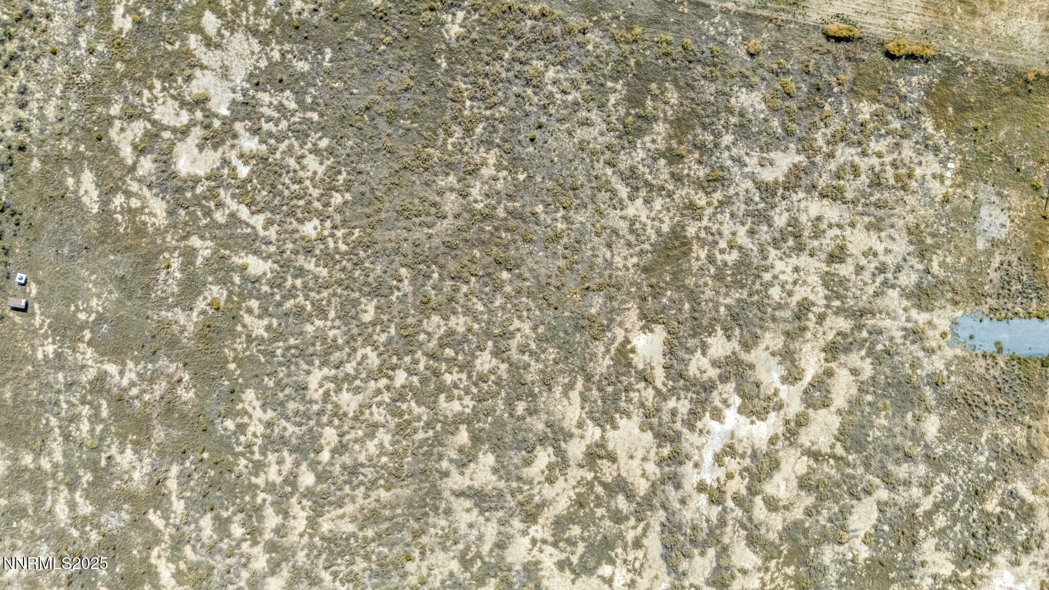 5-web-or-mls-115-buckboard-cir