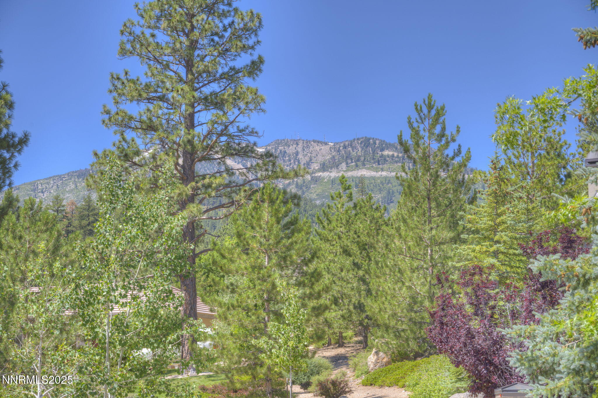 4-web-or-mls-515-mt-mahogany-ct