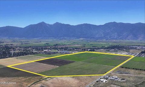 1300 Buckeye Road Minden NV 89423