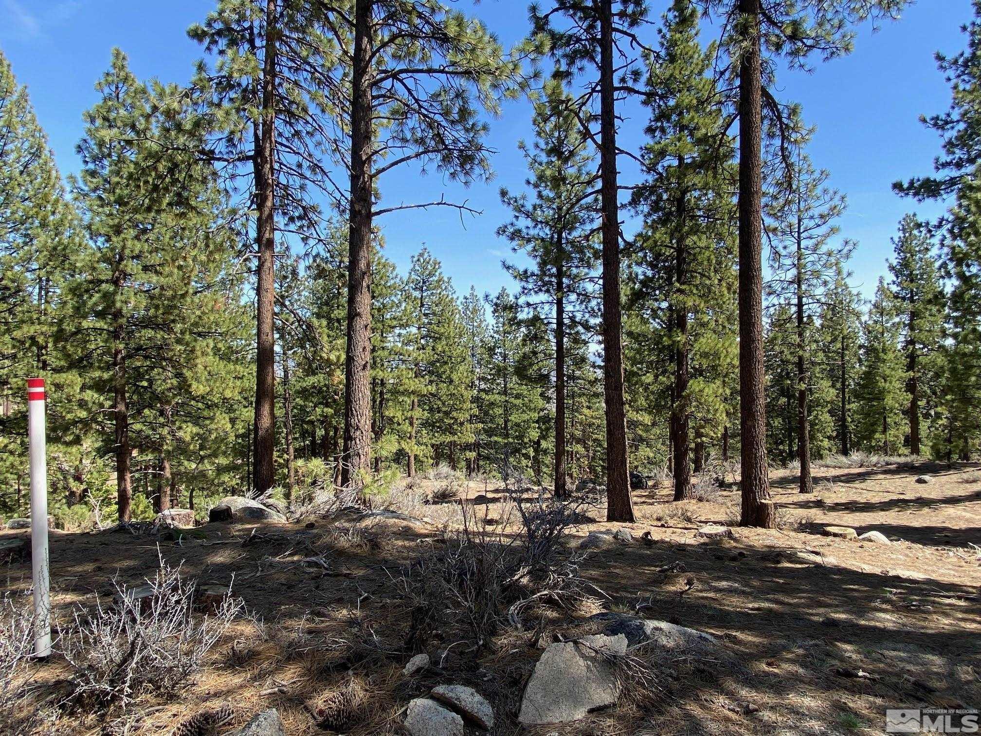 3503 Golf Club Drive