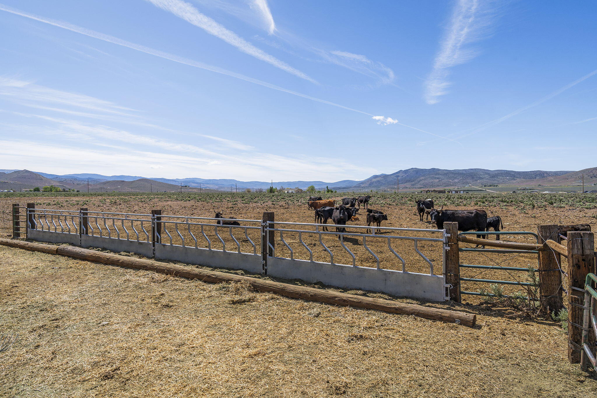 64-web-or-mls-_DSC9332