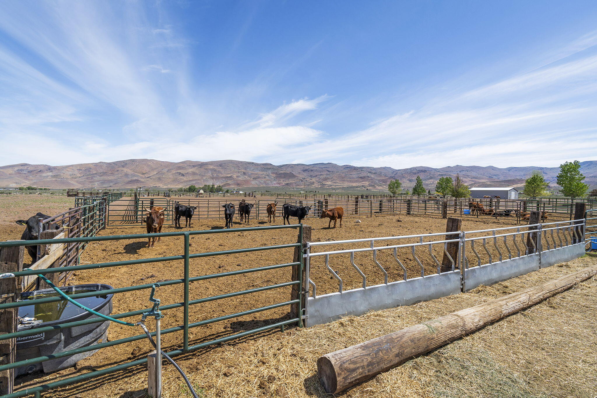 63-web-or-mls-_DSC9327