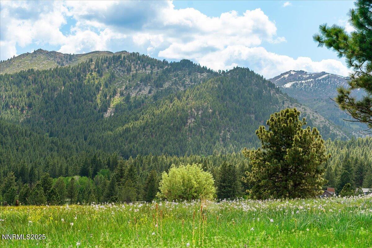 069-16400 Logan Meadow Lane Reno NV 8951