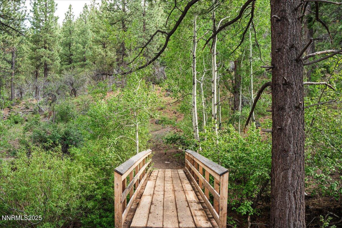 102-Thomas Creek Trail-4