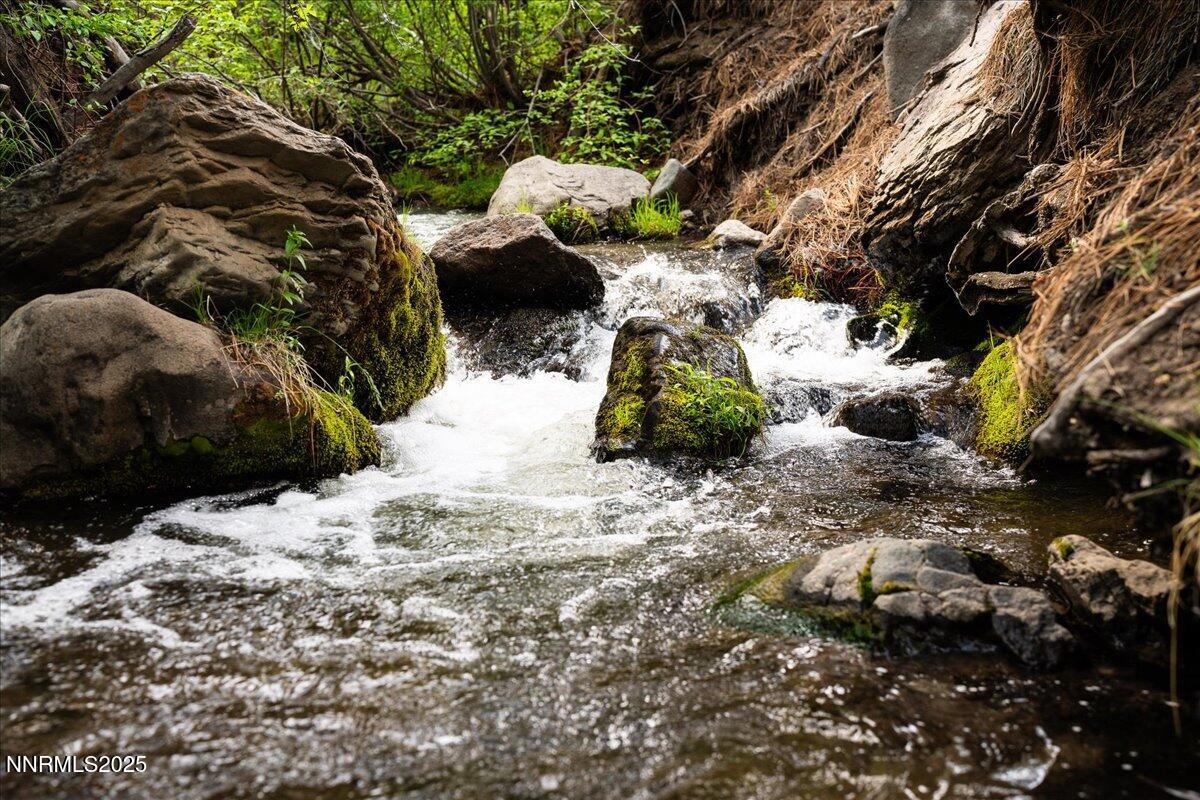 104-Thomas Creek Trail-3