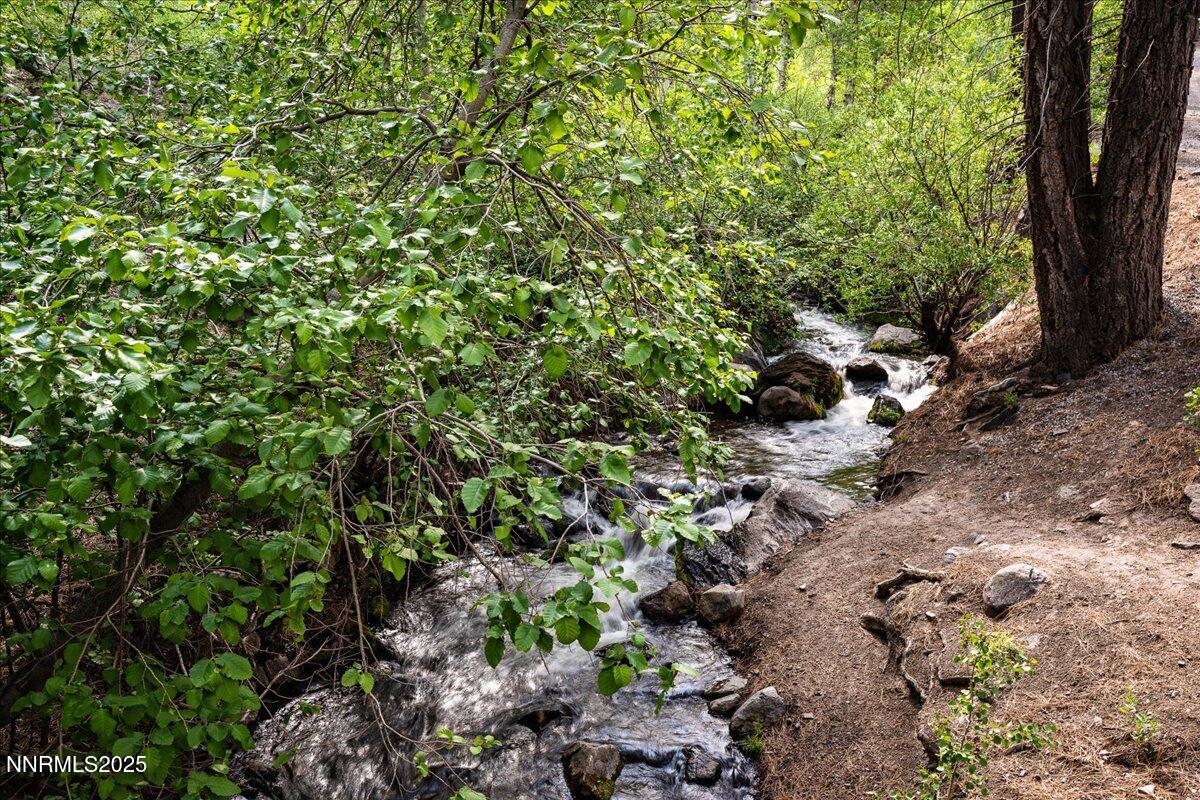 103-Thomas Creek Trail-2