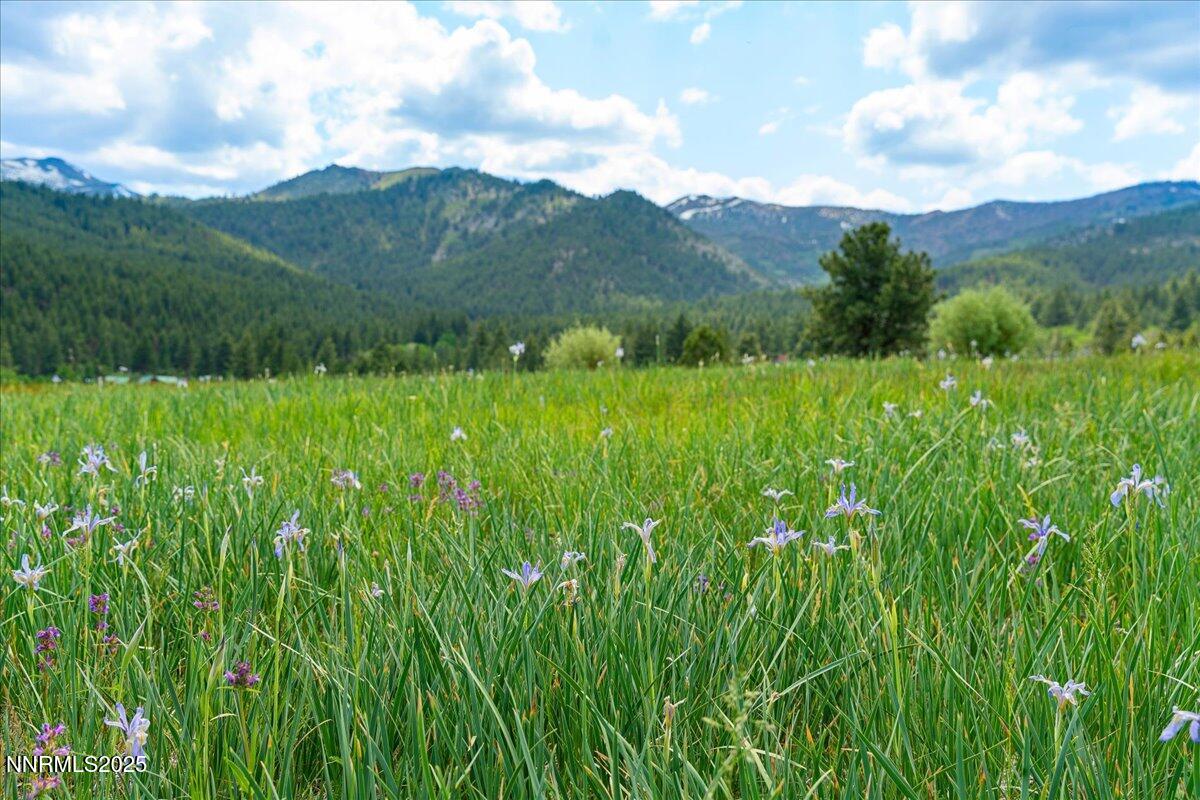 074-16400 Logan Meadow Lane Reno NV 8951