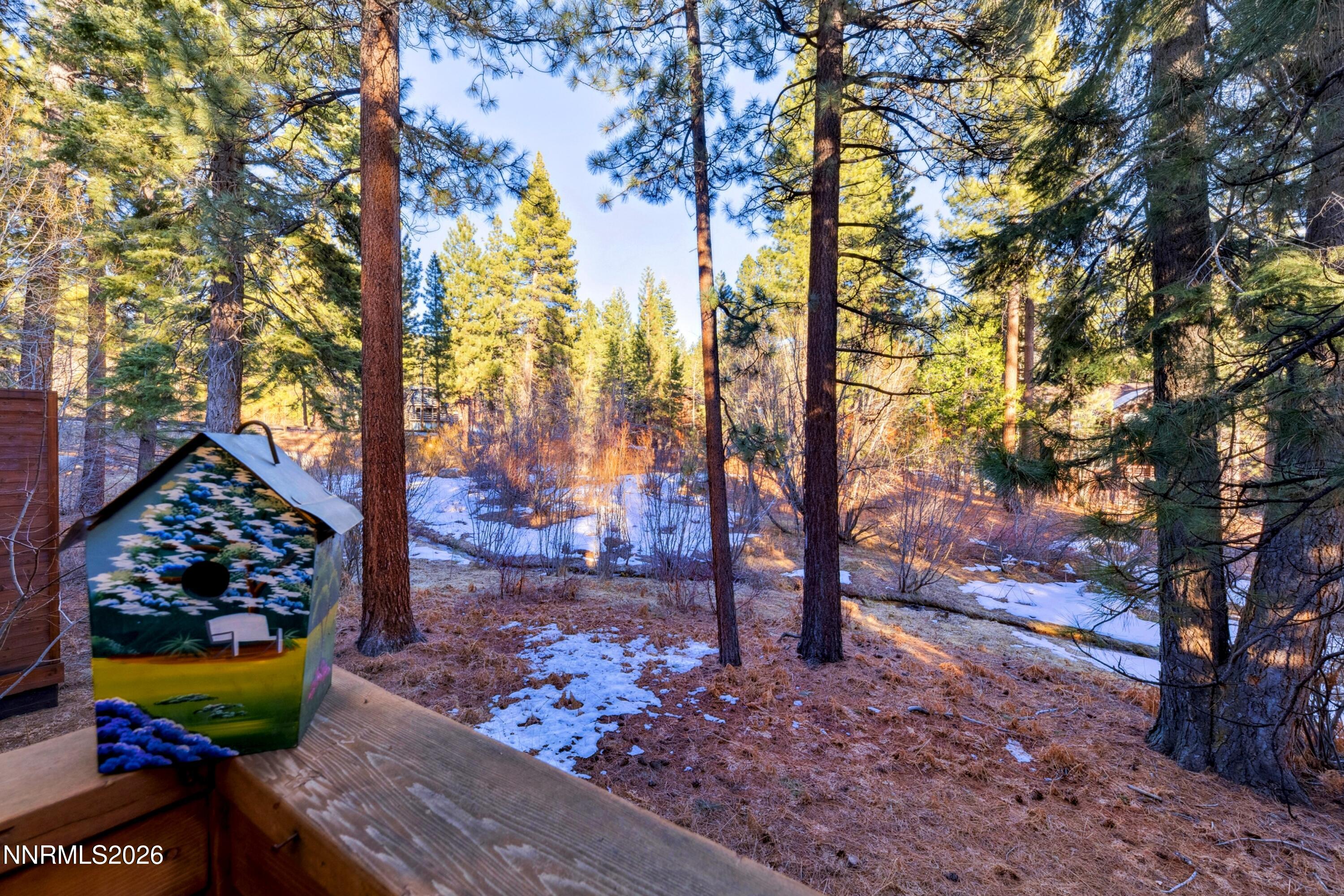 Backyard on Forest/Creek