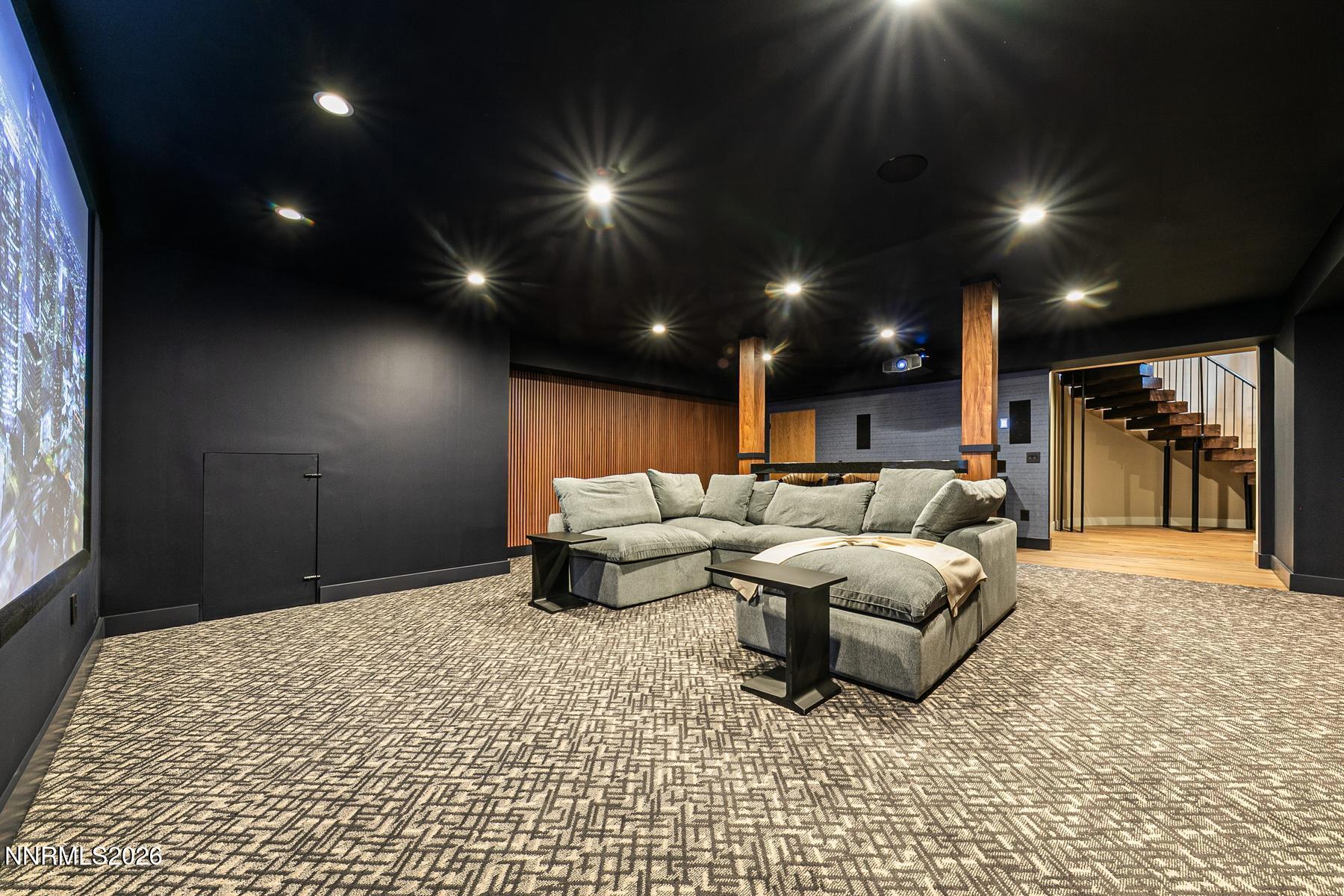 Downstairs Movie Theater