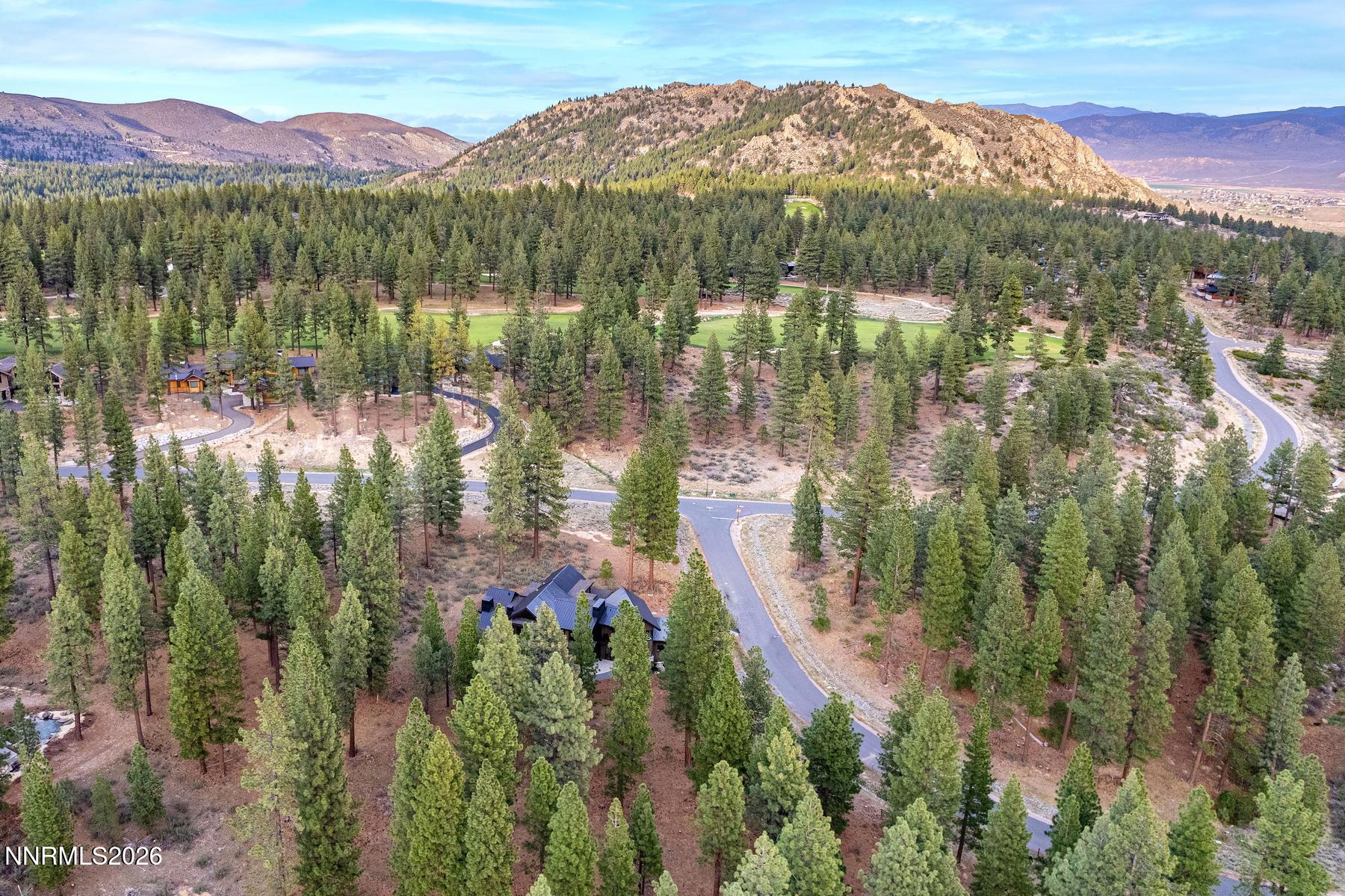Nestled in the Pines