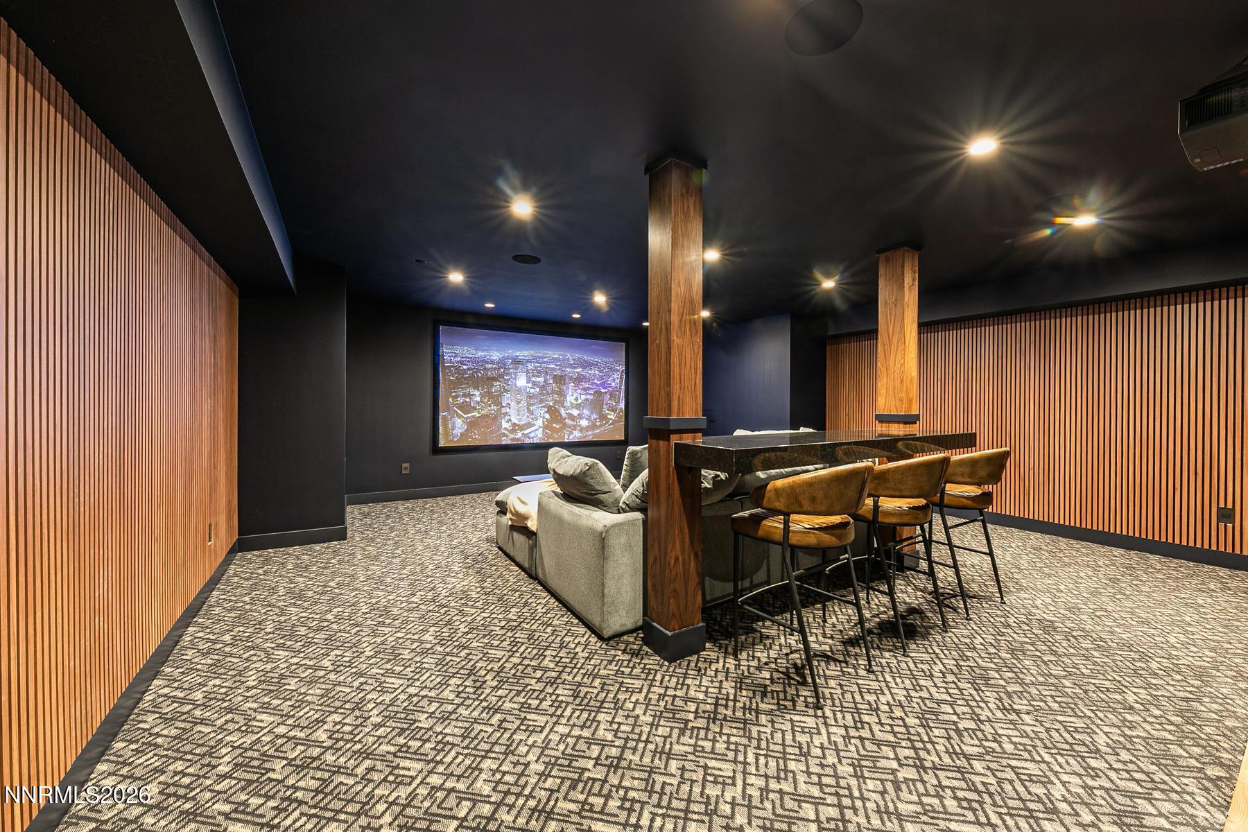 Downstairs Movie Theater
