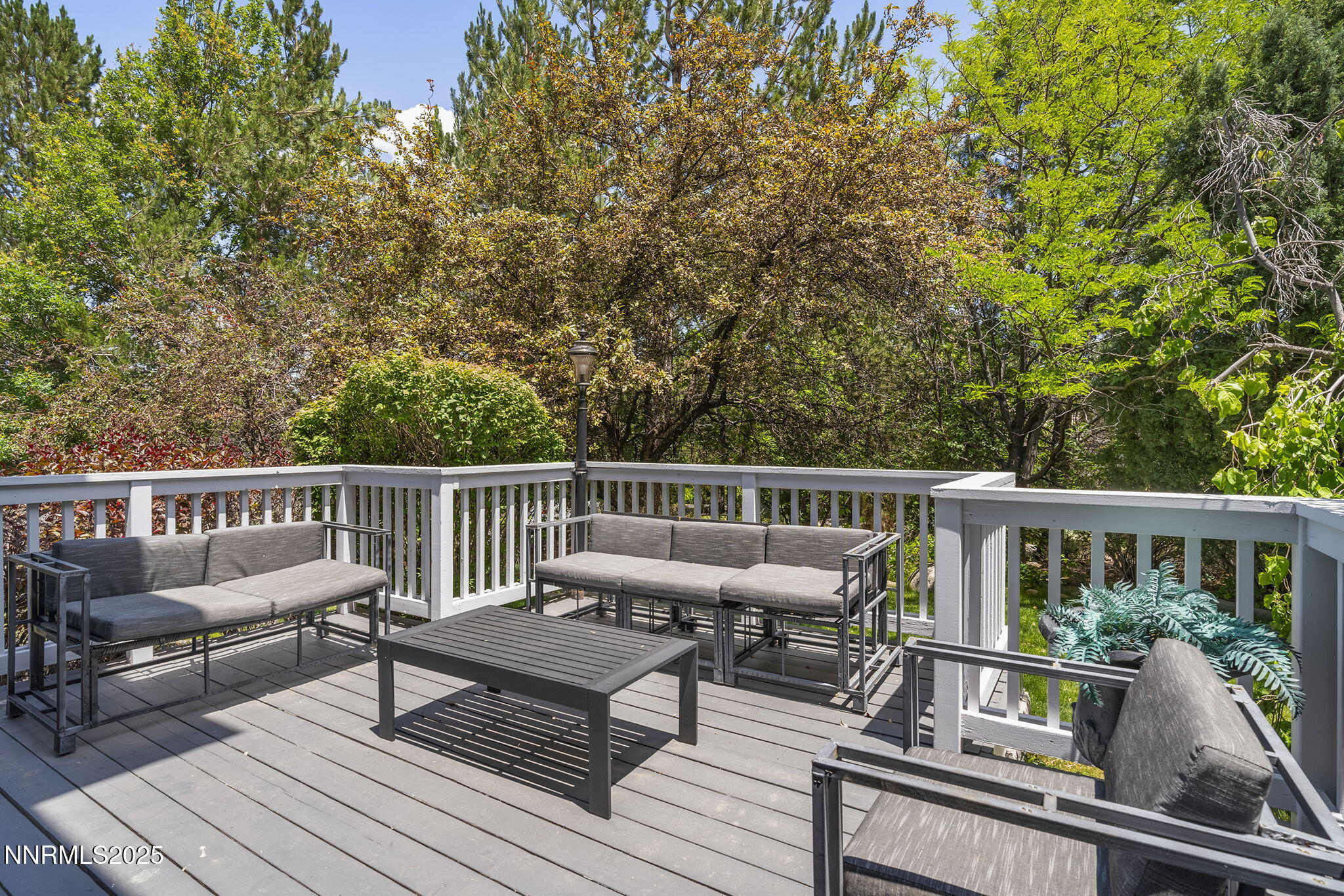 45-web-or-mls-_DSC1483