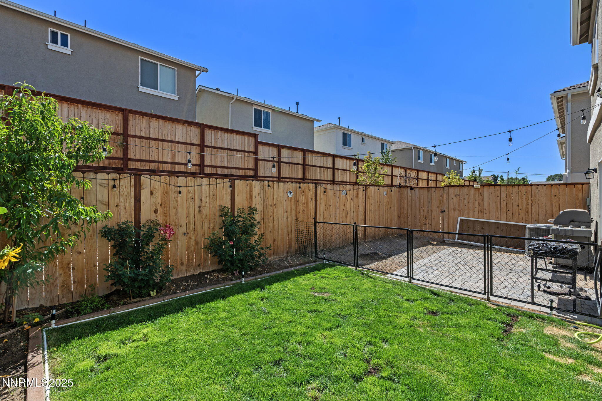 36-web-or-mls-DSC02723