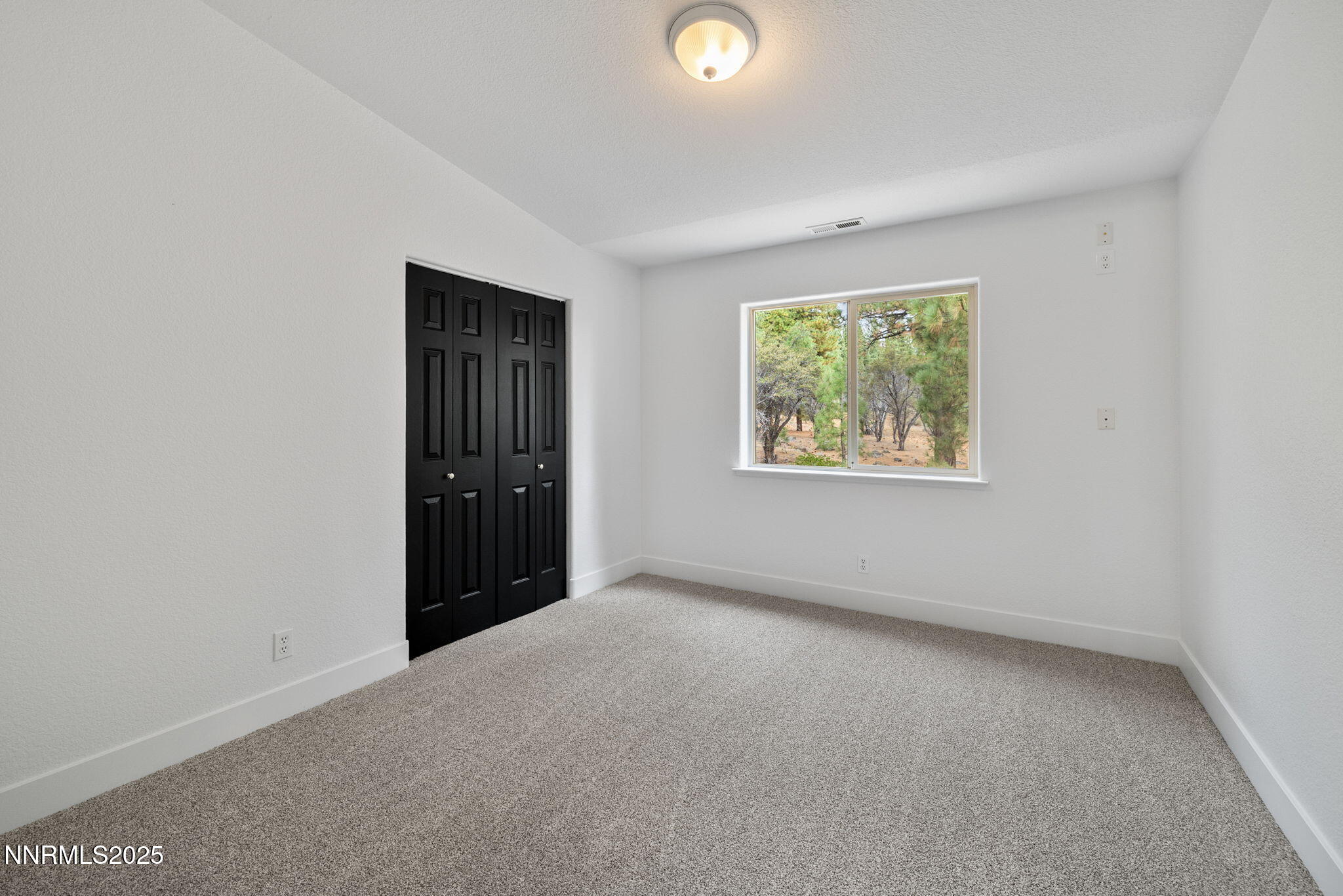 35-web-or-mls-16435 Snow Flower-21