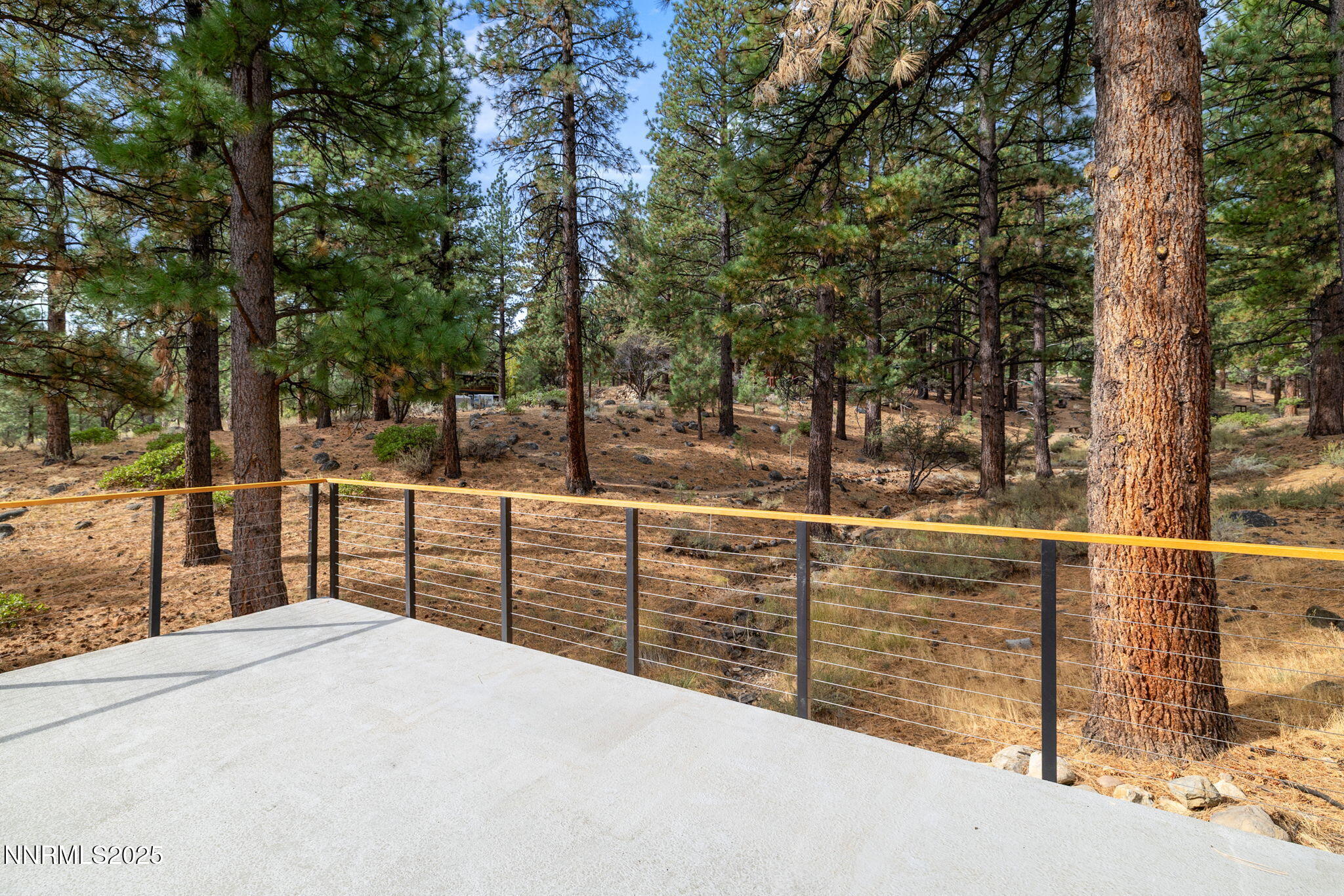 48-web-or-mls-16435 Snow Flower-36