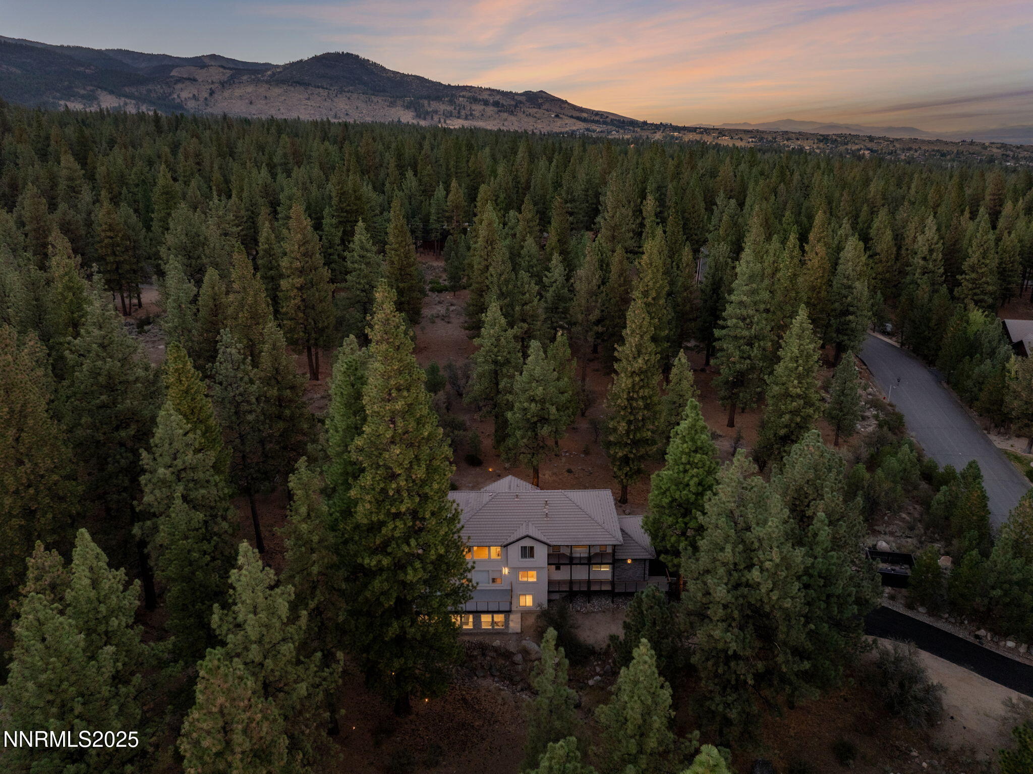 13-web-or-mls-16435 Snow Flower TWilight