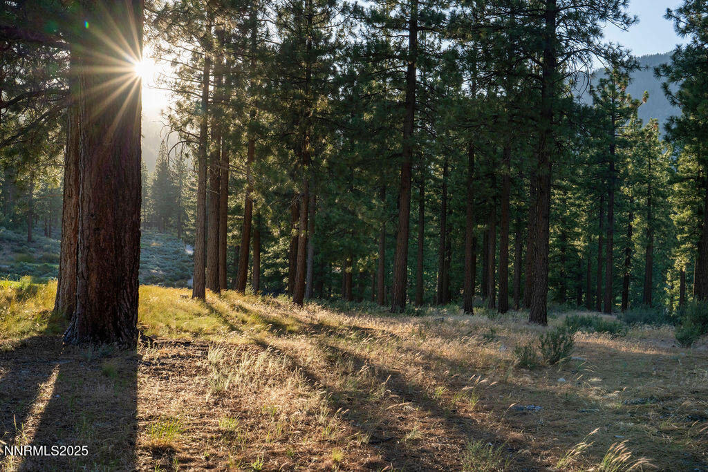 08_191Cartwright_Lot246