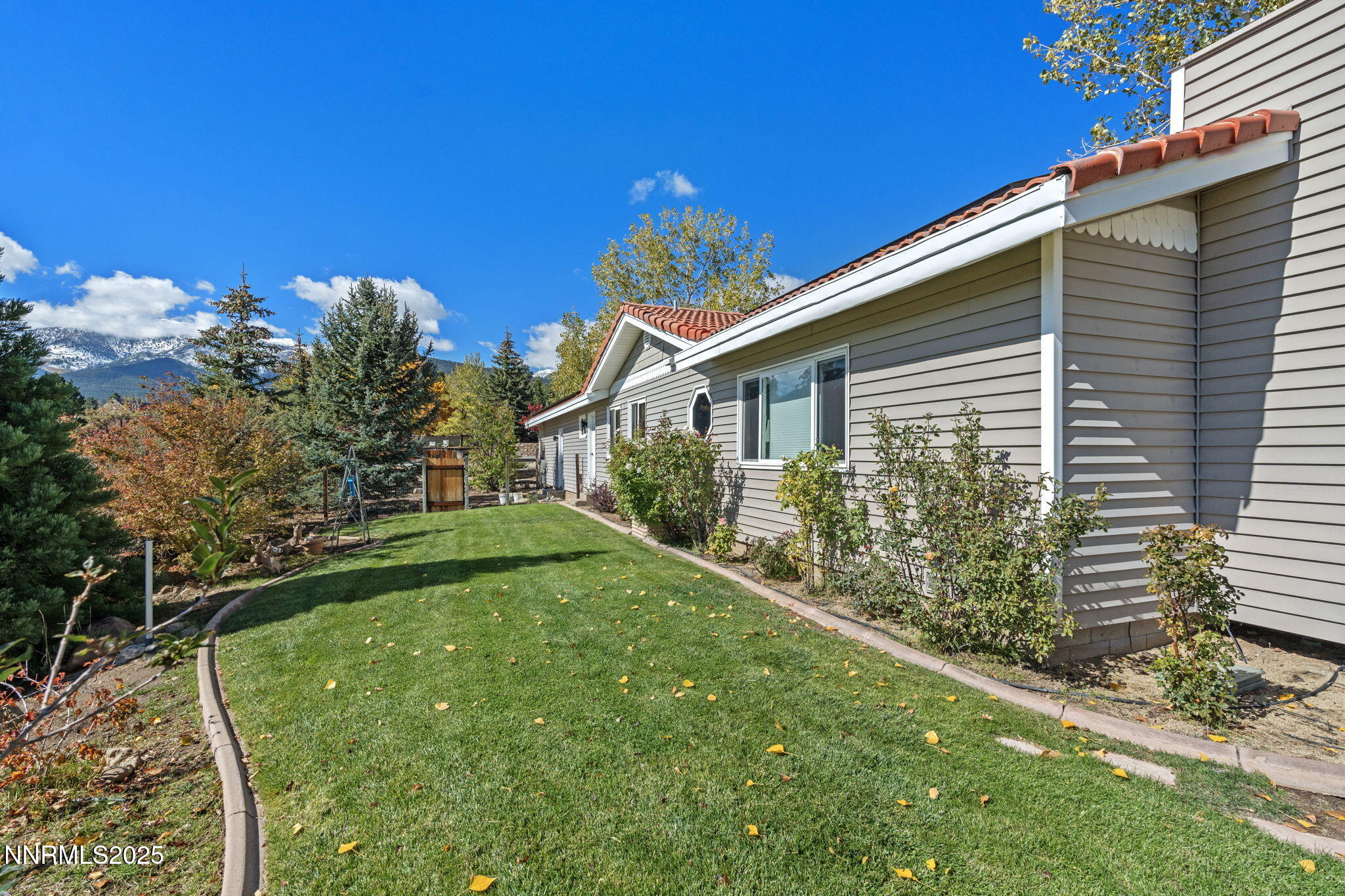 51-web-or-mls-DSC02482