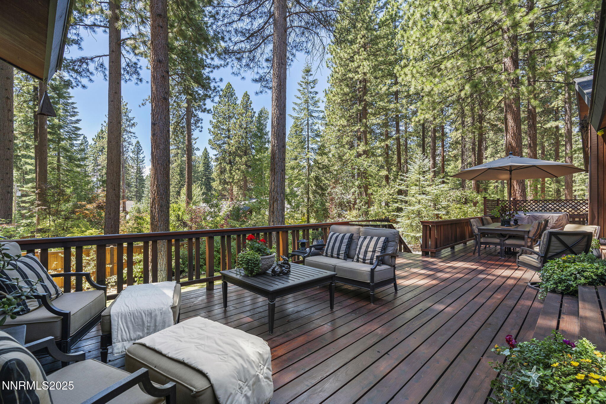 45-web-or-mls-_DSC0816