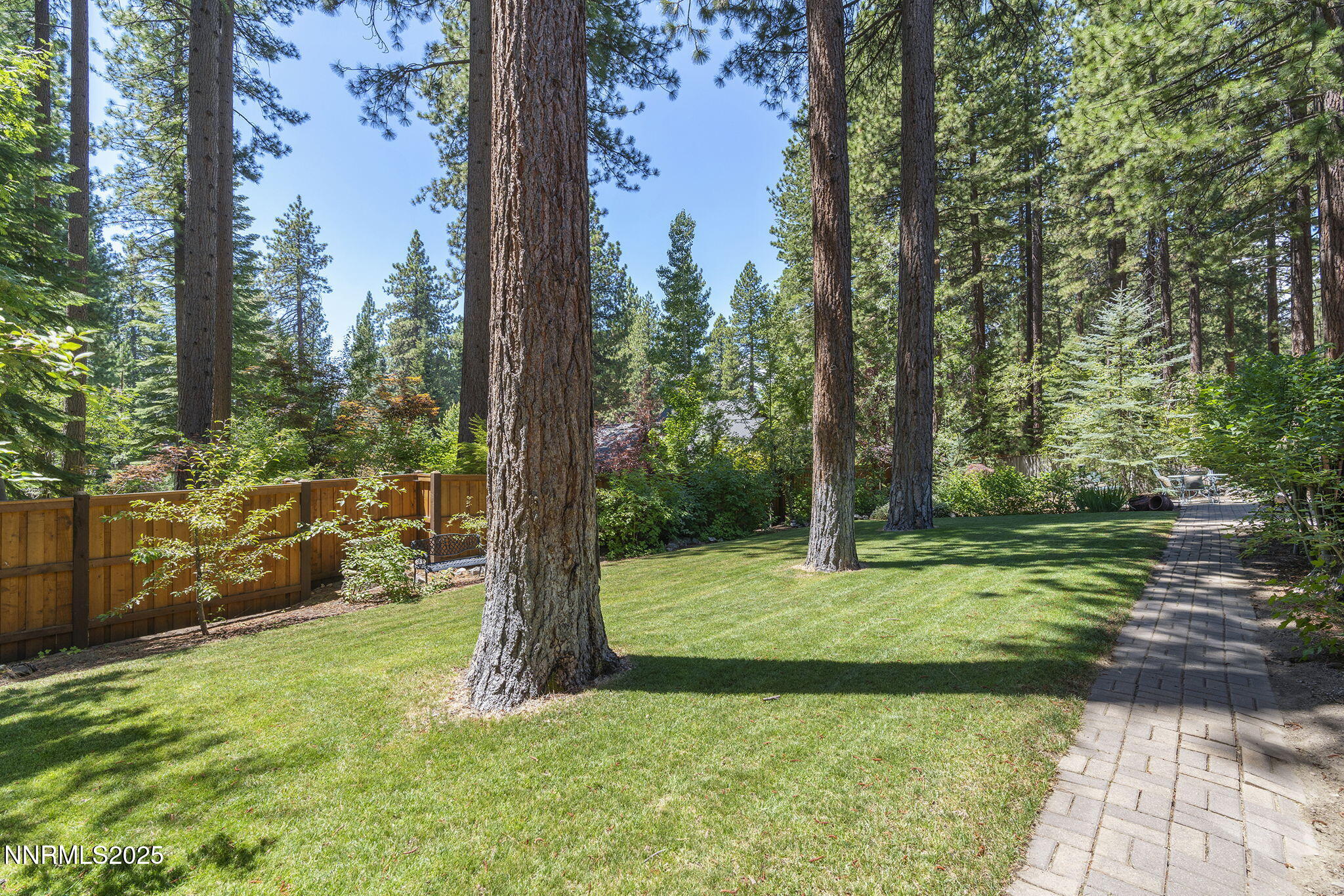 54-web-or-mls-_DSC0859