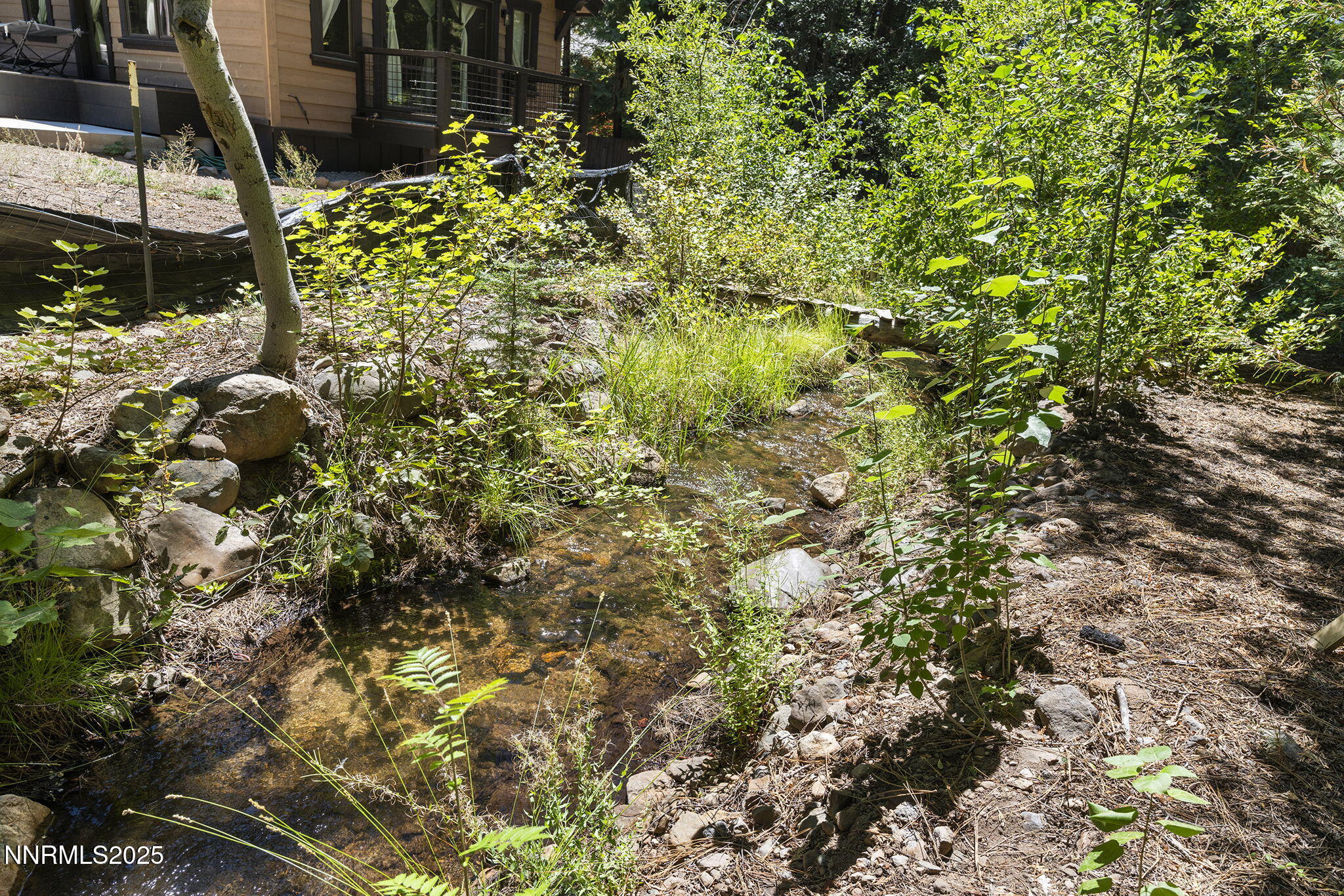 57-web-or-mls-_DSC0876