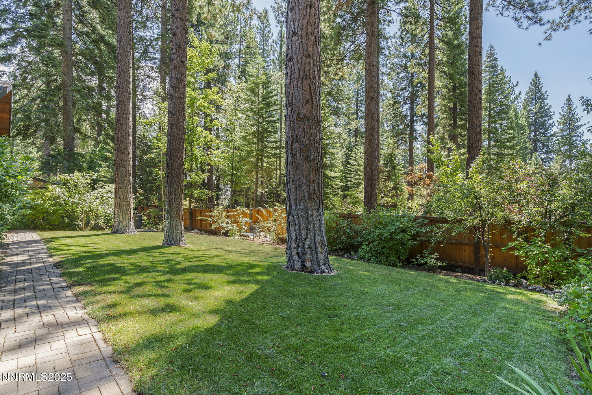 52-web-or-mls-_DSC0851