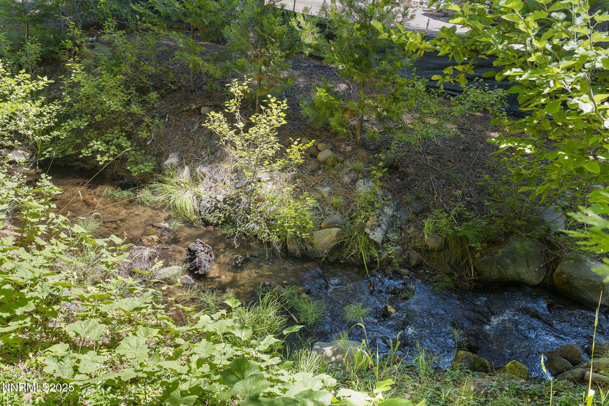 56-web-or-mls-_DSC0871