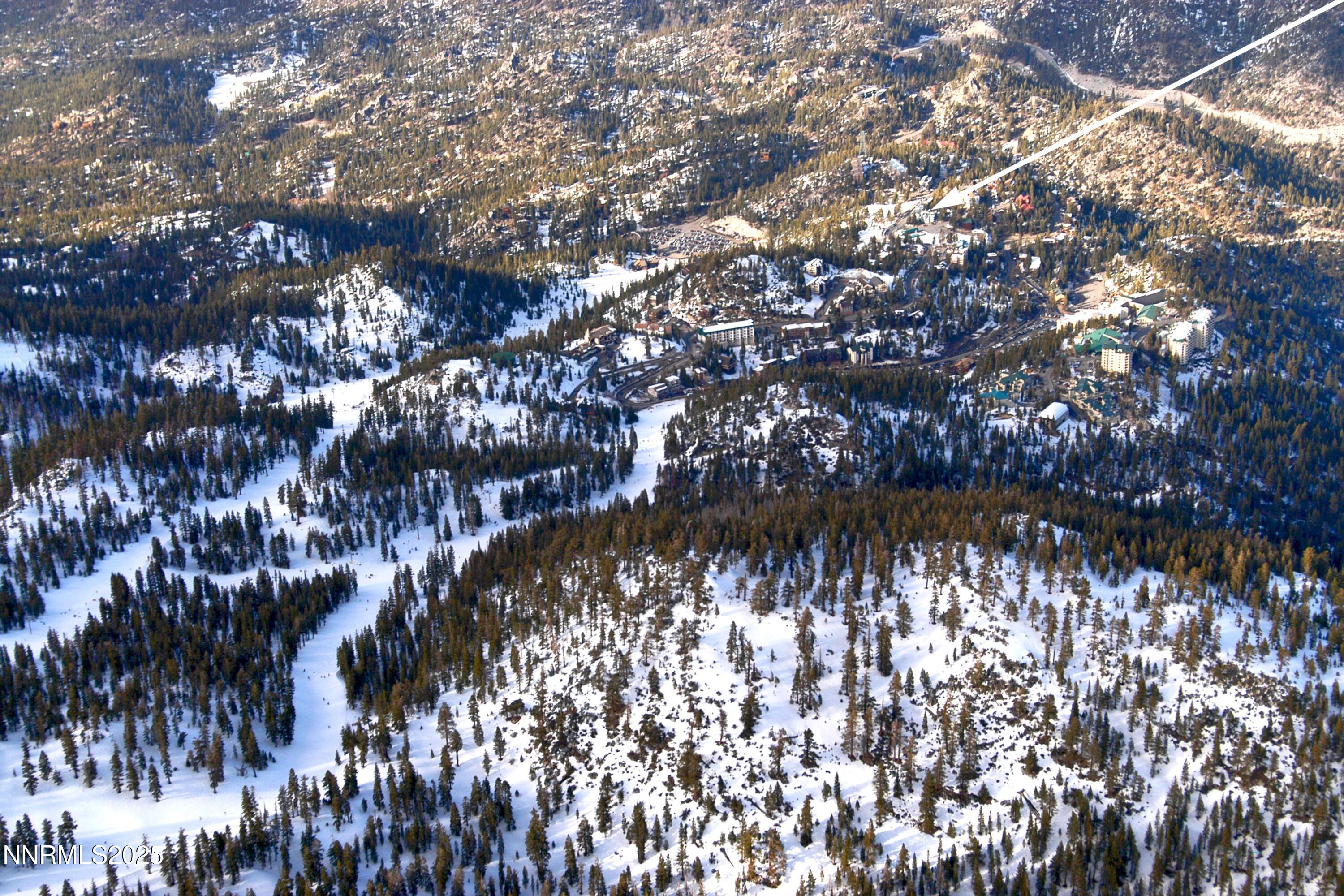 a19